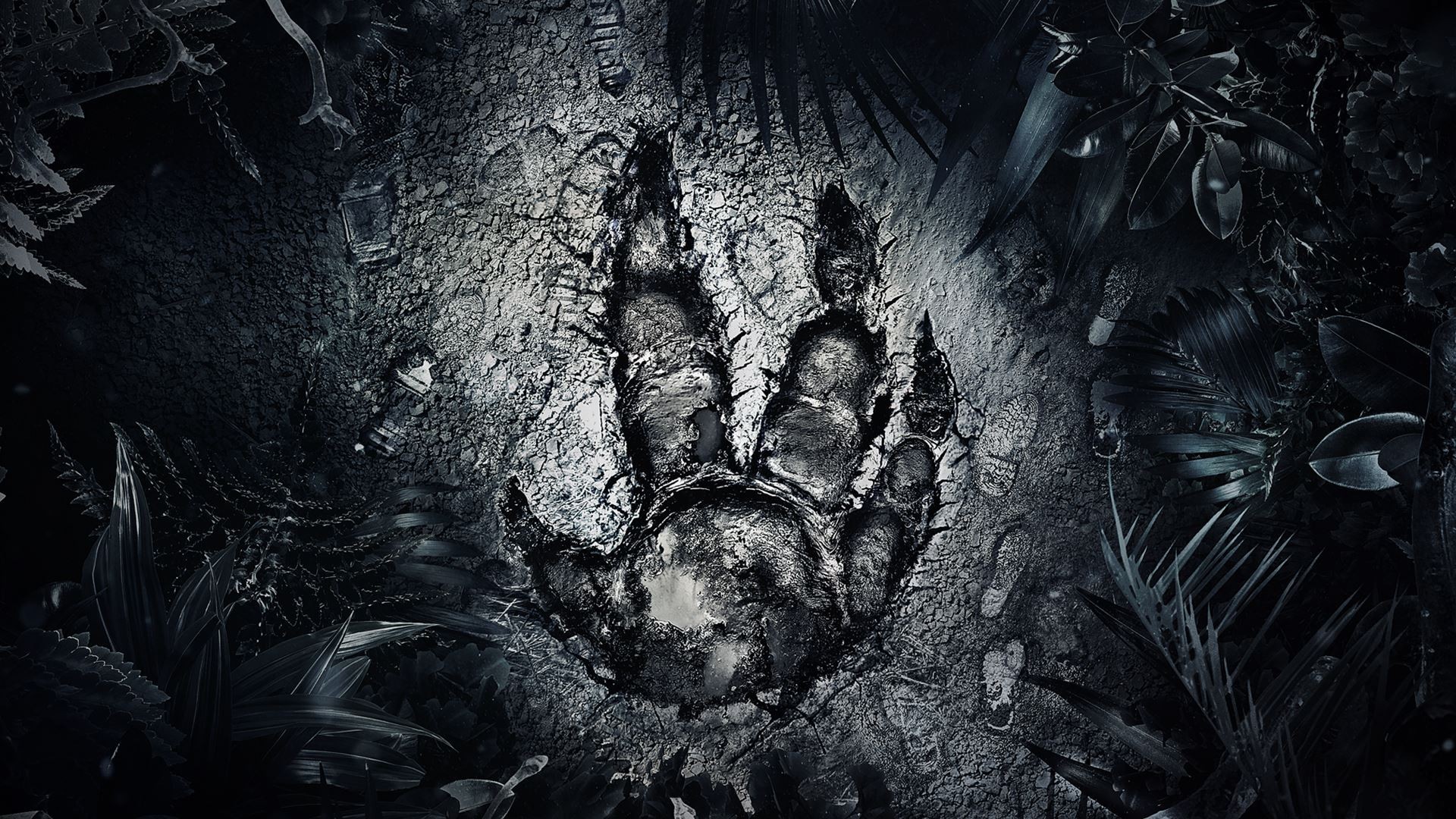 Dinosaur footprint on cracked ground with plants HD Wallpaper