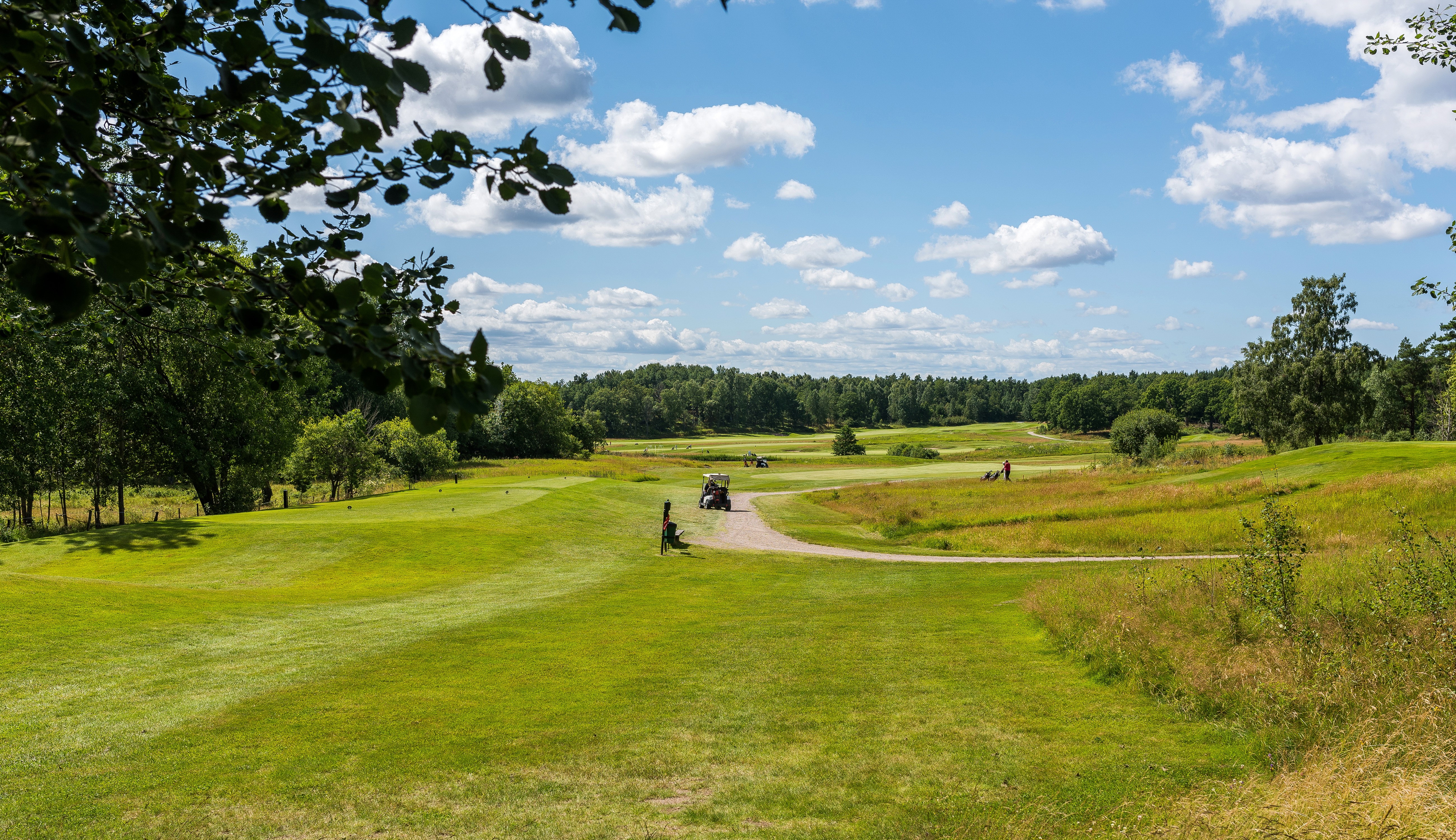 Golf course in Vaxholm, Sweden with trees and clouds HD Wallpaper