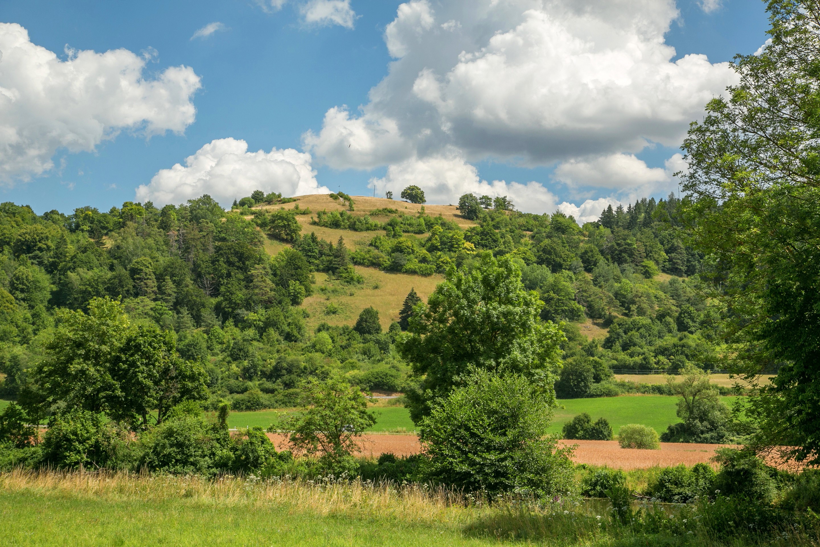 Green hills with trees and clouds on a summer day HD Wallpaper