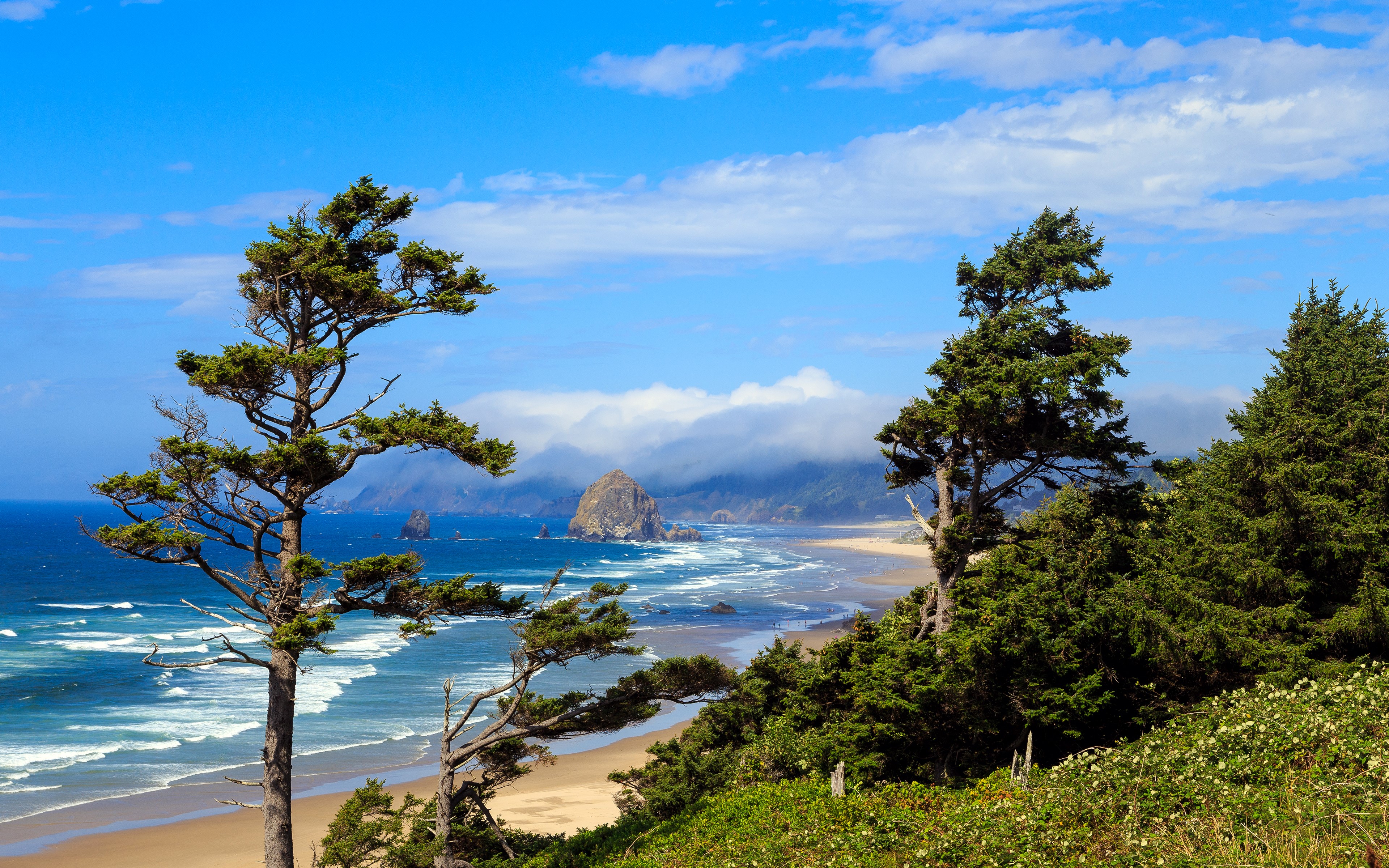 Oregon Coast Scenery with Trees and Haystack Rock HD Wallpaper