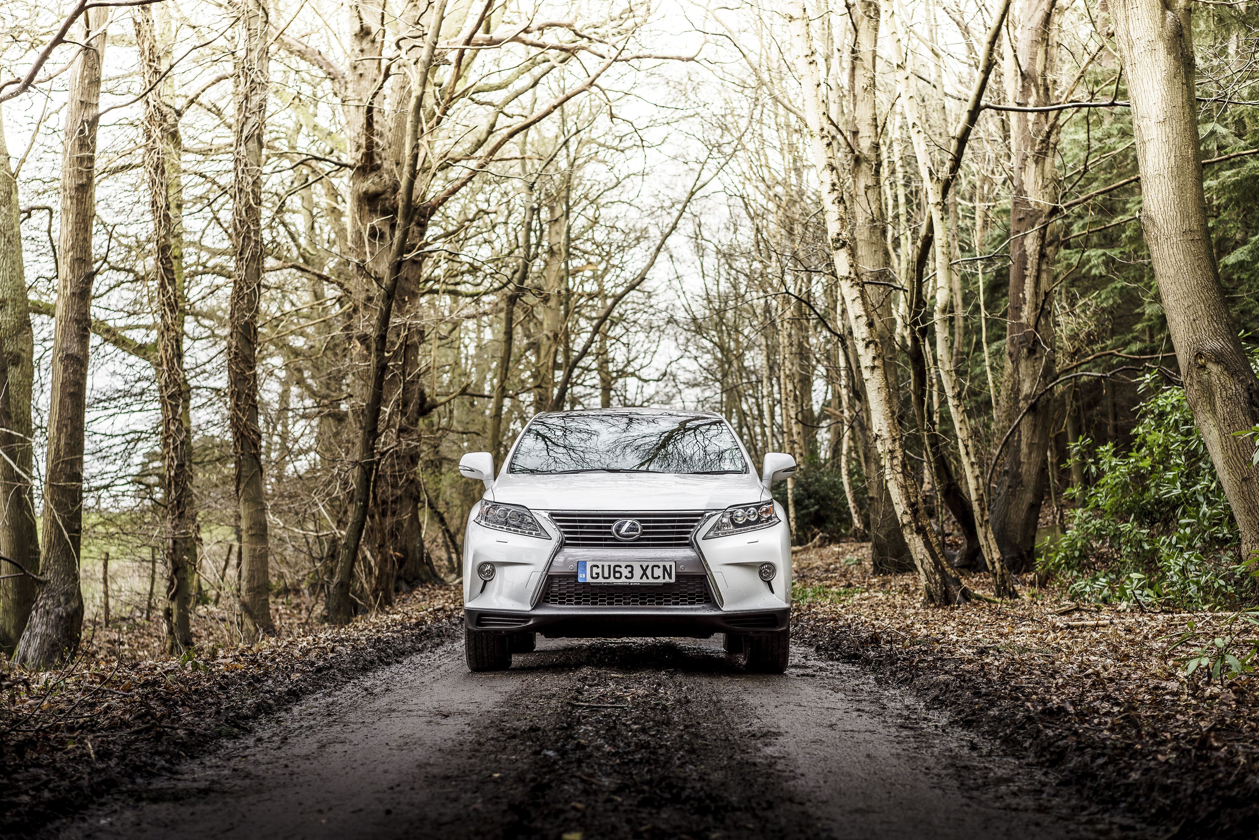 White Lexus RX 450h F-Sport on a forest road HD Wallpaper