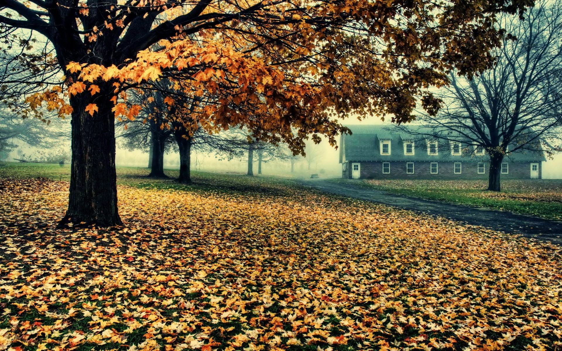 Autumn scene with trees and a building HD Wallpaper
