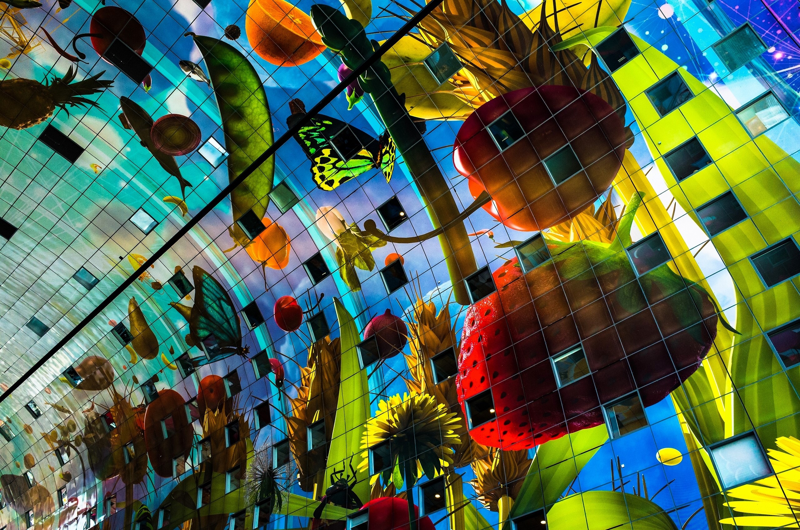 Markthal Rotterdam Market Hall ceiling art HD Wallpaper