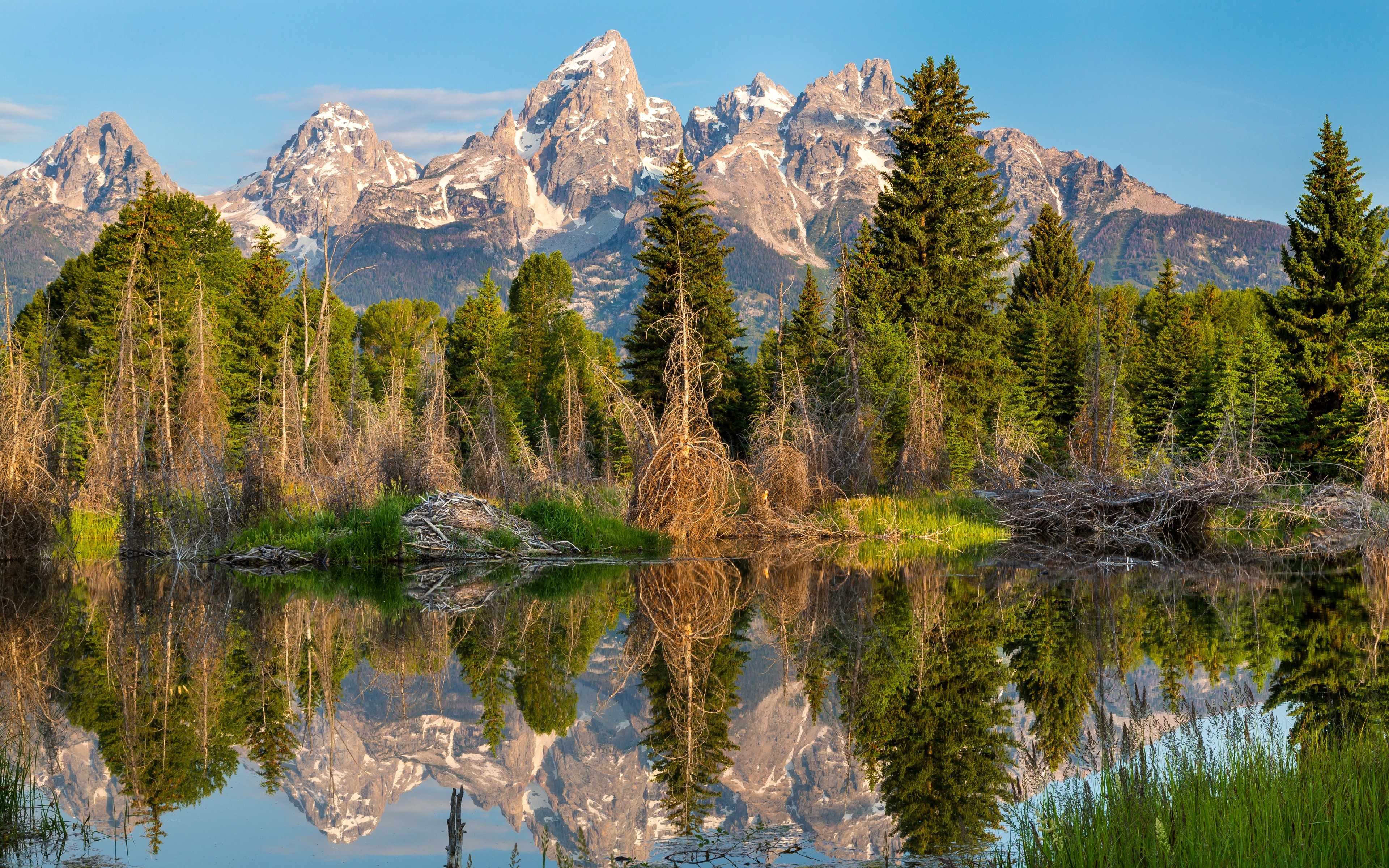 4K Mountains and Forests Reflected in Lake HD Wallpaper