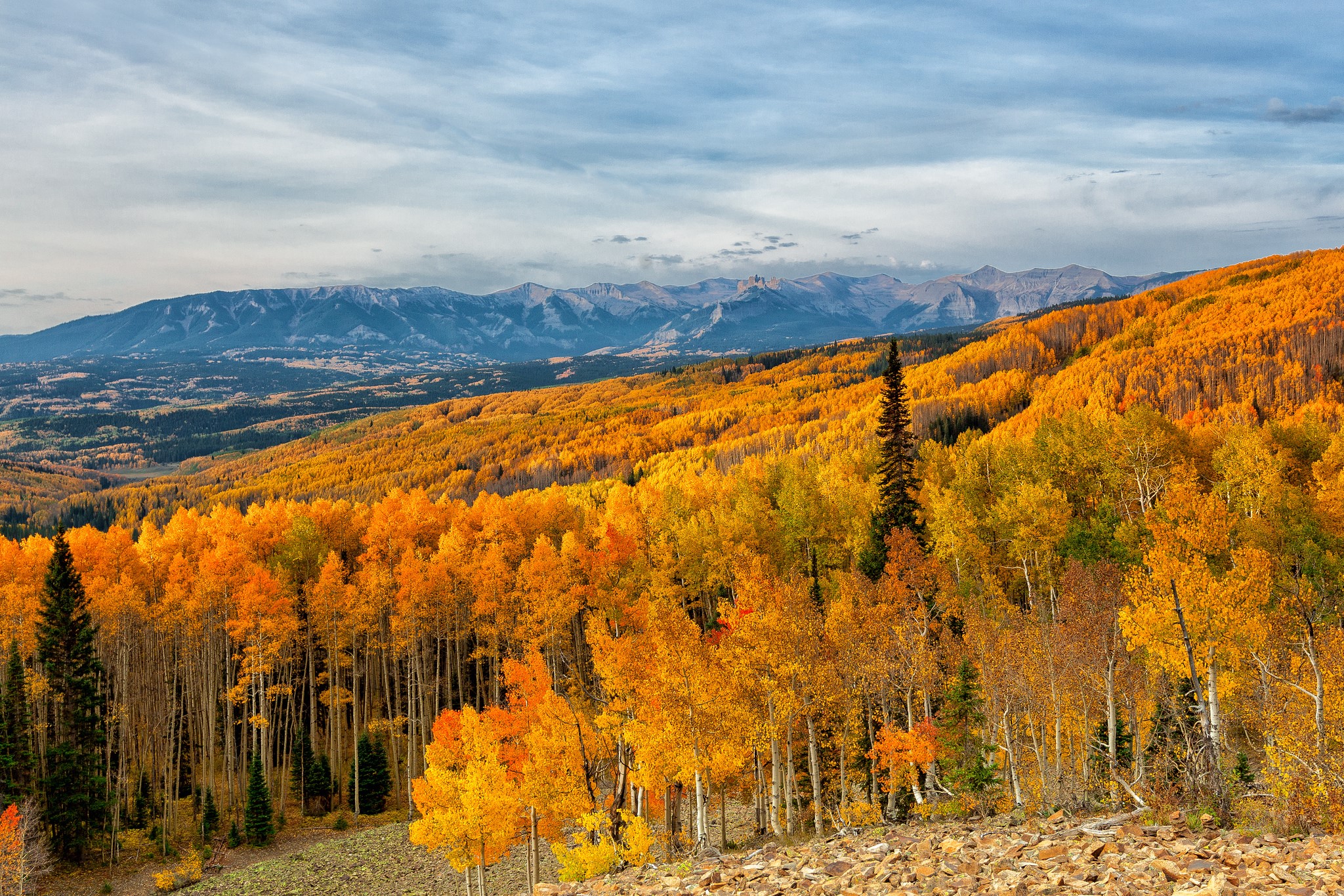 Autumn forest with mountains in the background HD Wallpaper