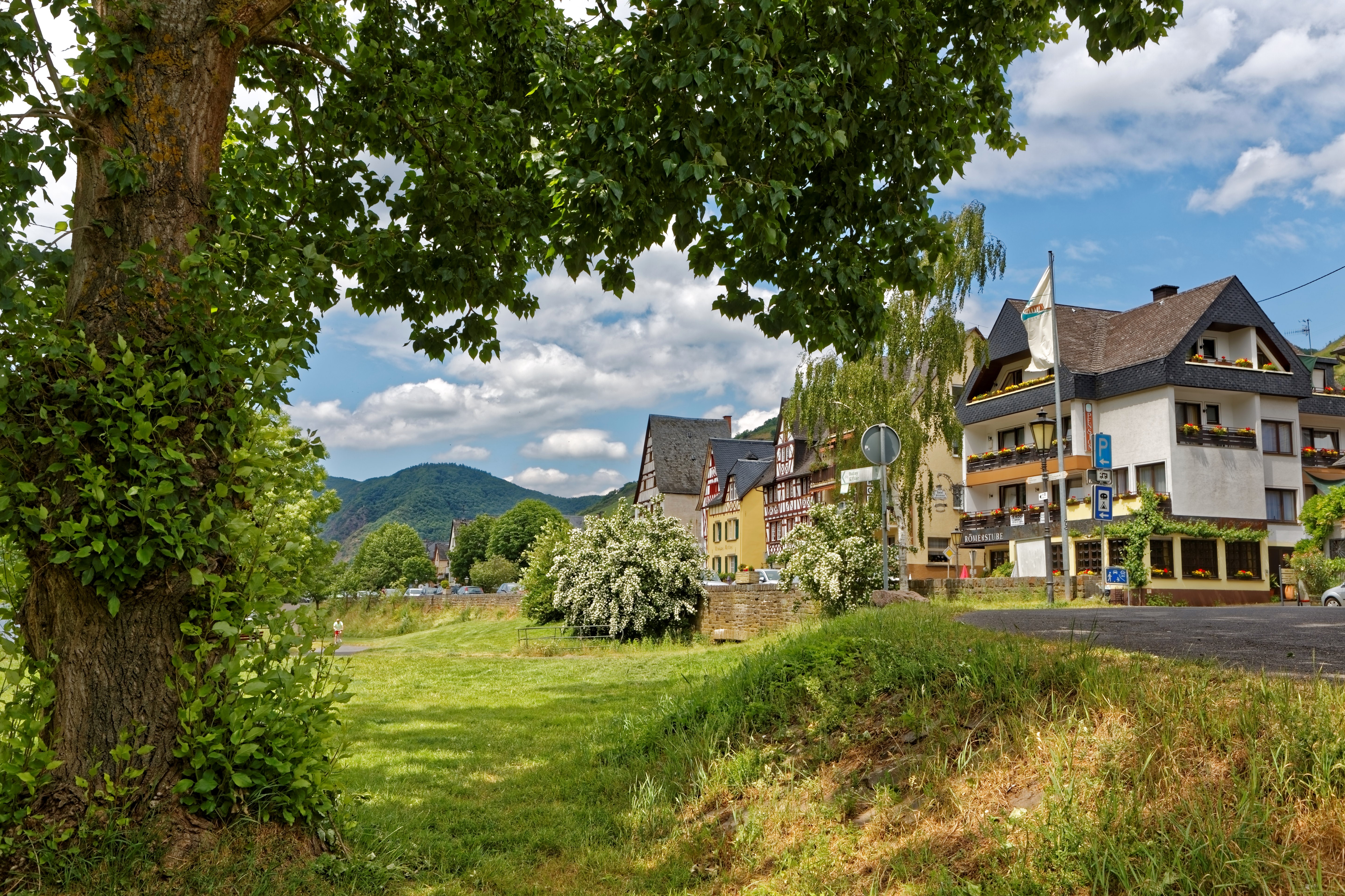 Houses and trees in Ediger-Eller, Germany HD Wallpaper
