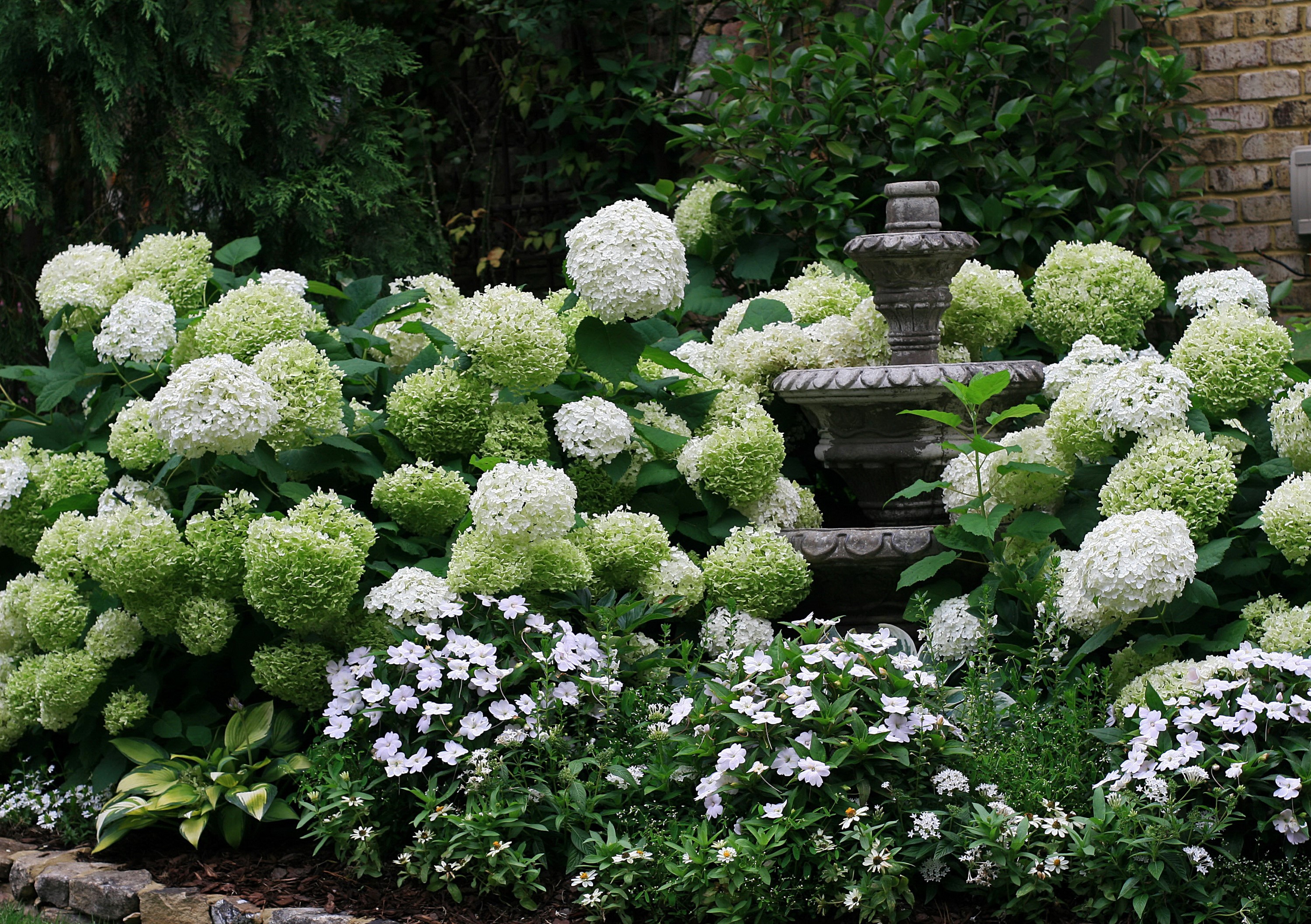 Garden with Hydrangeas and a Fountain HD Wallpaper