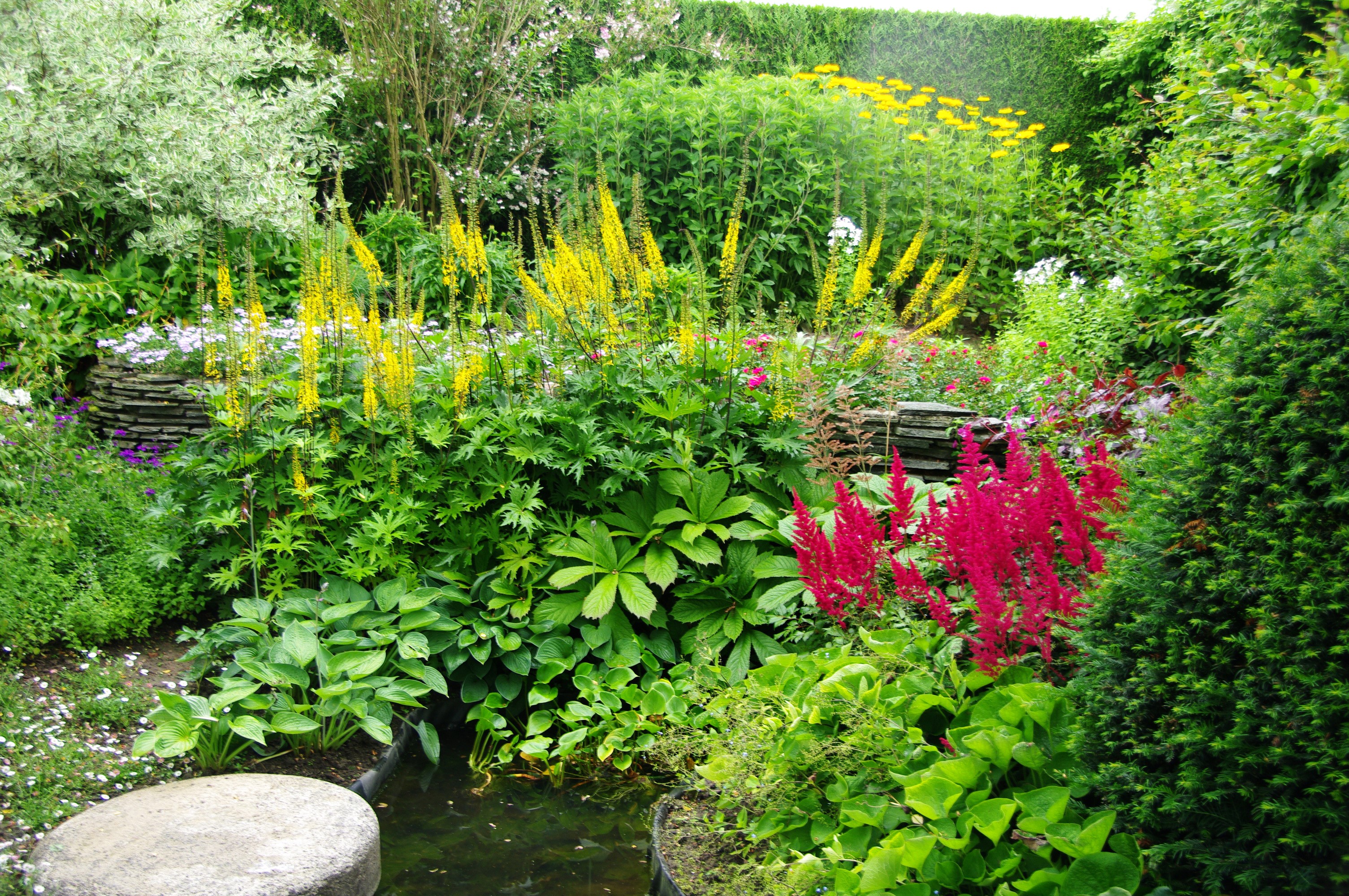 A lush garden with yellow and pink flowers and a pond HD Wallpaper