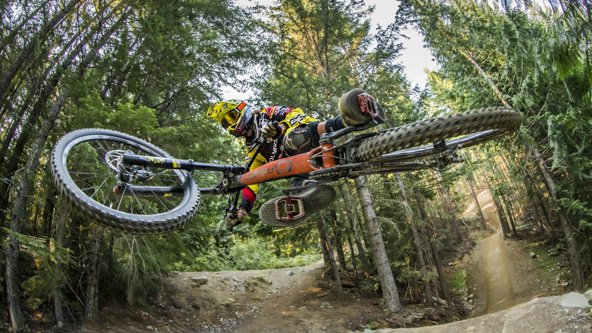 Mountain biker jumping in a forest HD Wallpaper