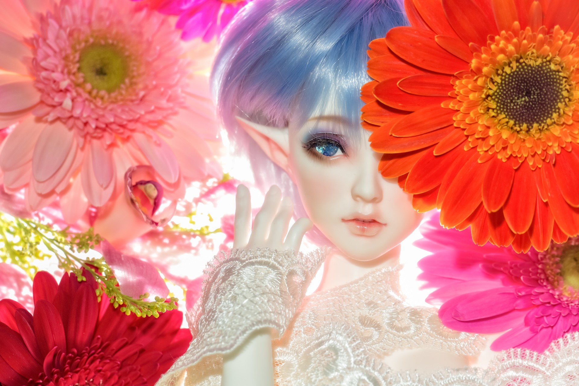 Elf doll with blue hair surrounded by gerbera daisies HD Wallpaper