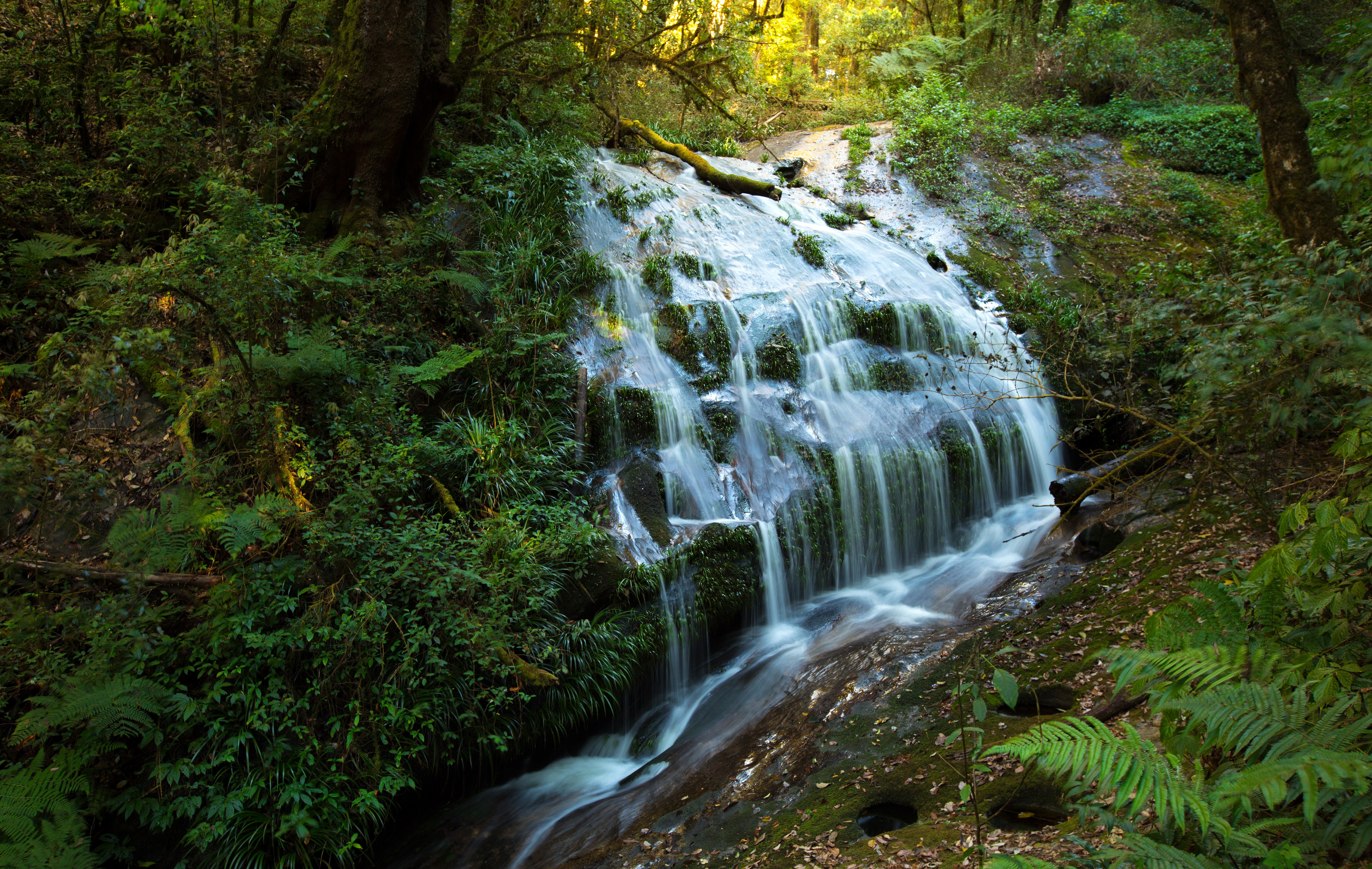 Waterfall in a Tropical Forest in Thailand HD Wallpaper