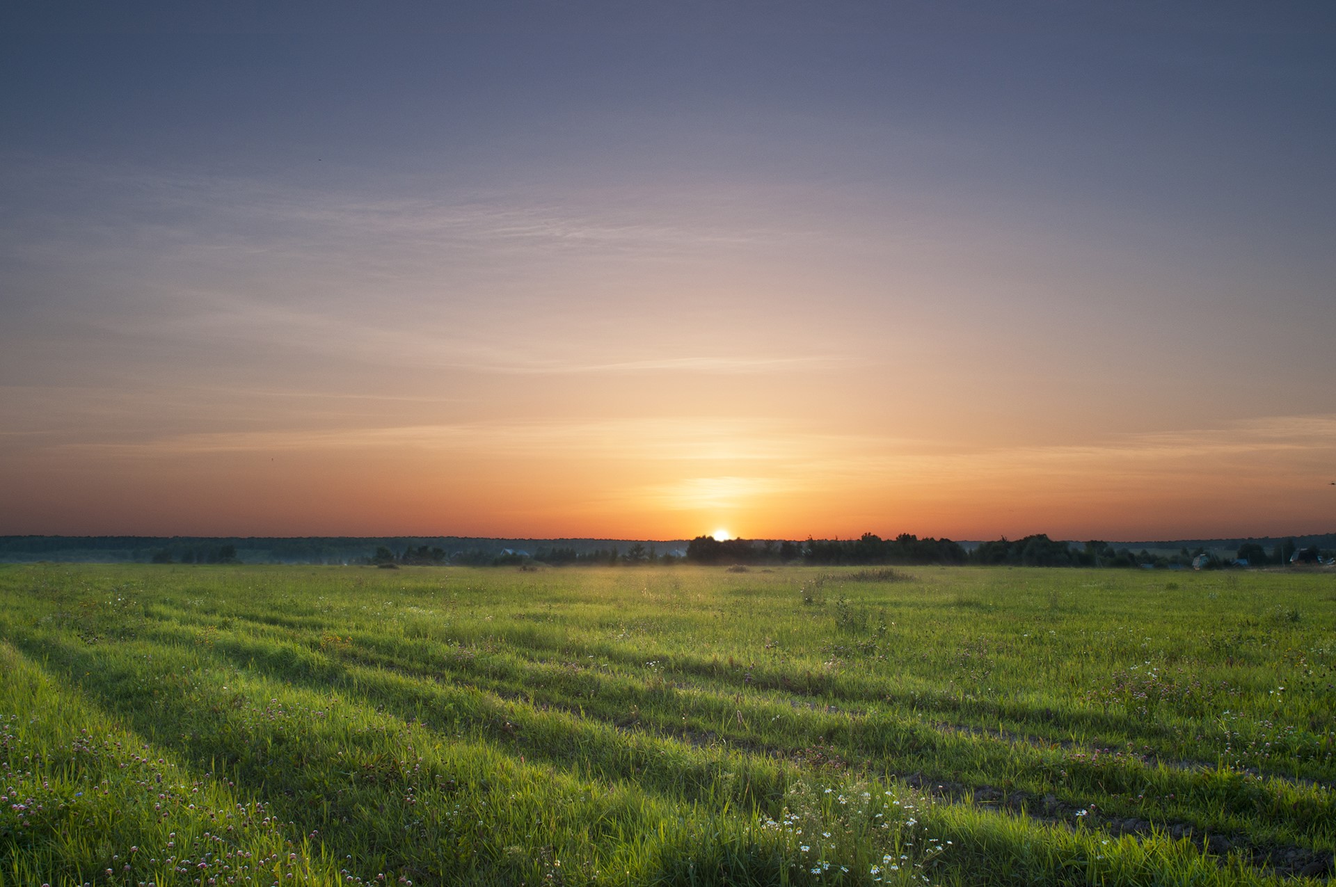 Green field at sunset HD Wallpaper