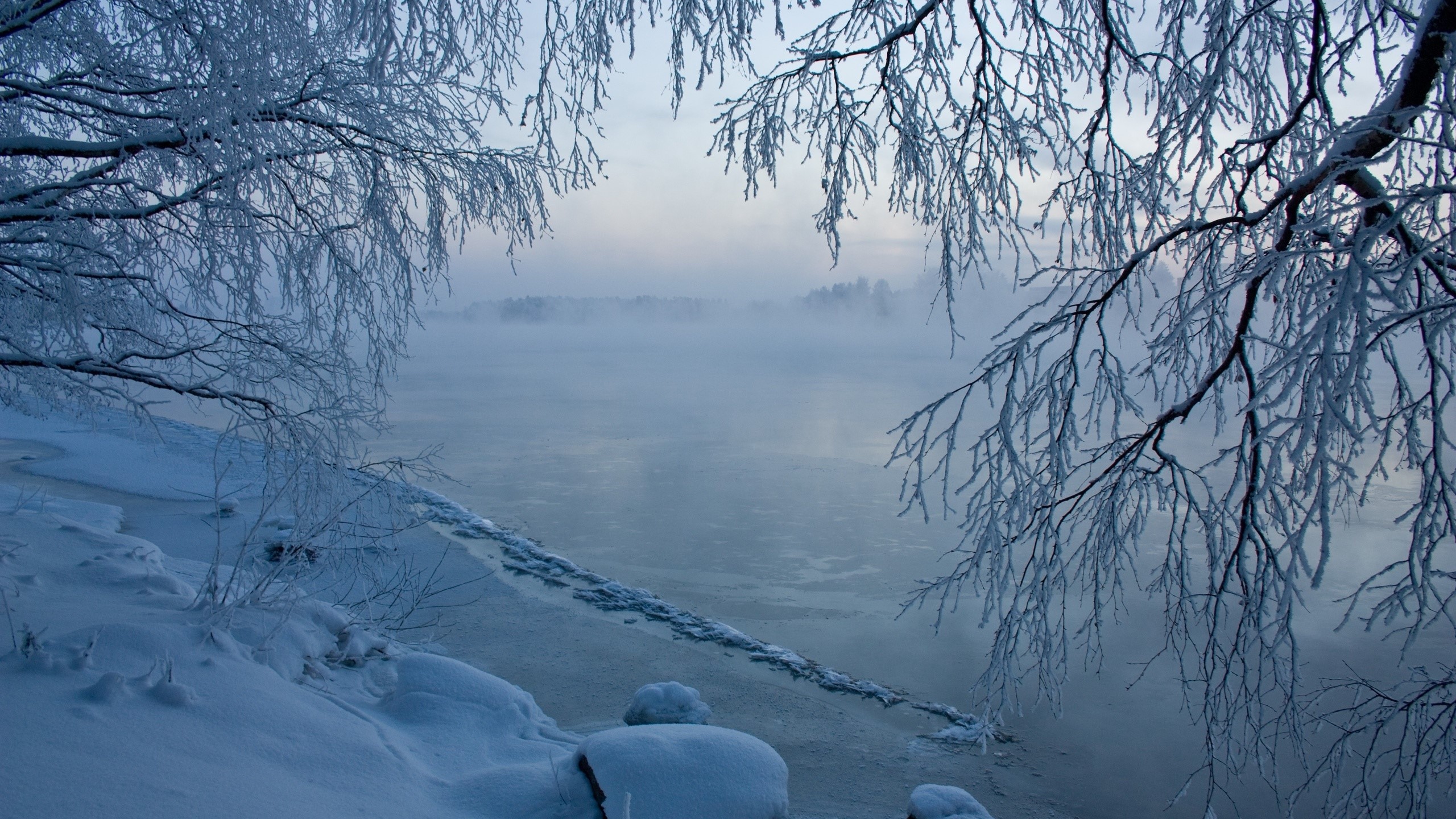 Winter river with frosted branches and mist HD Wallpaper