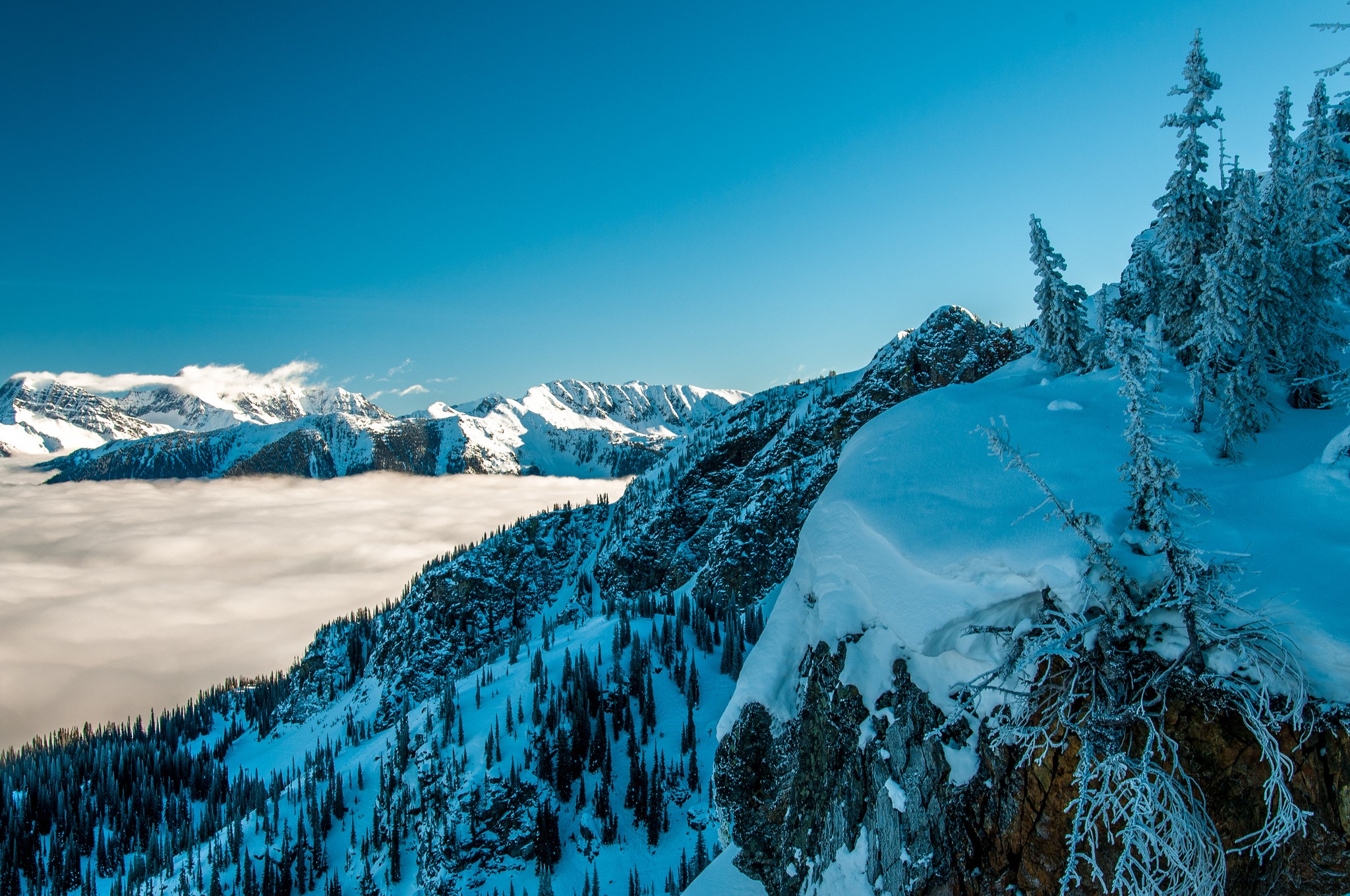 Snowy Mountains Above Clouds with Pine Trees HD Wallpaper
