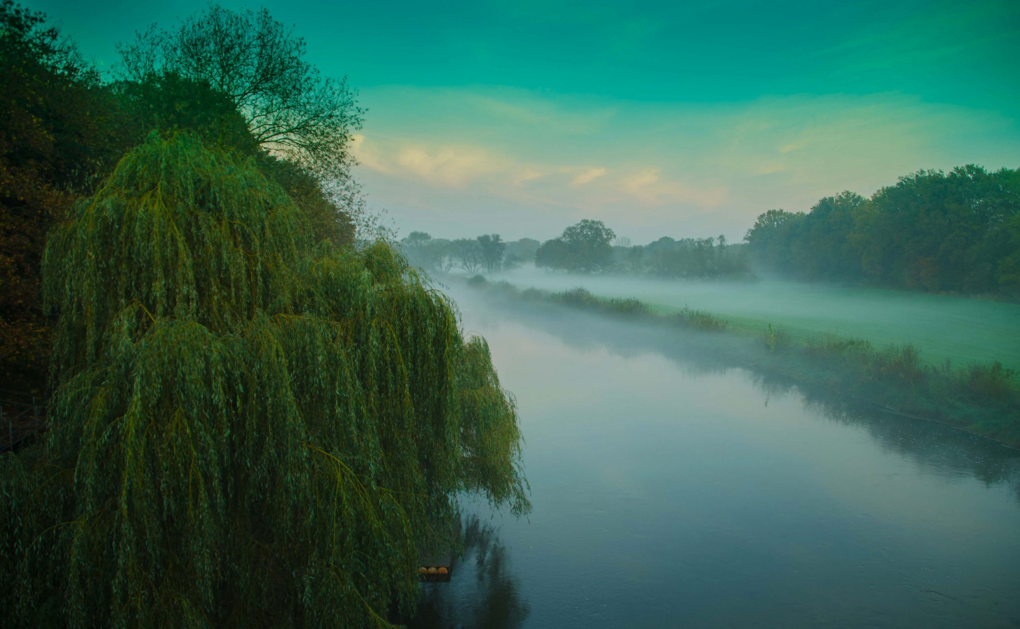 Misty river with weeping willow tree HD Wallpaper