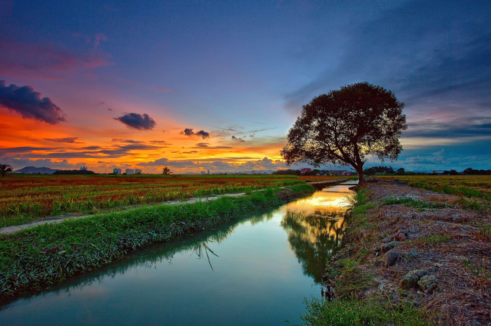 Sunset over a rural landscape with a tree and canal HD Wallpaper
