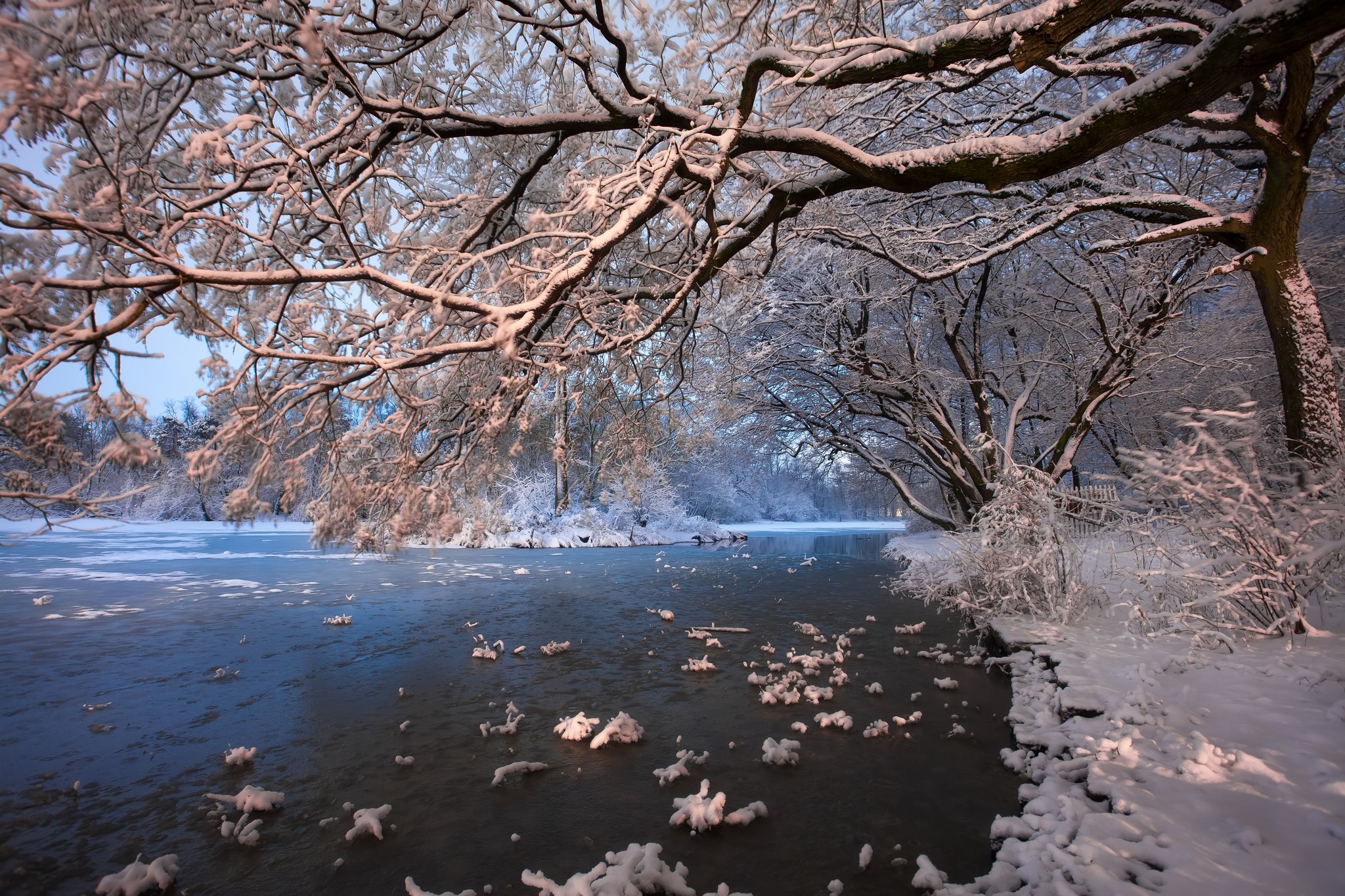 Snow-covered trees over a frozen river HD Wallpaper