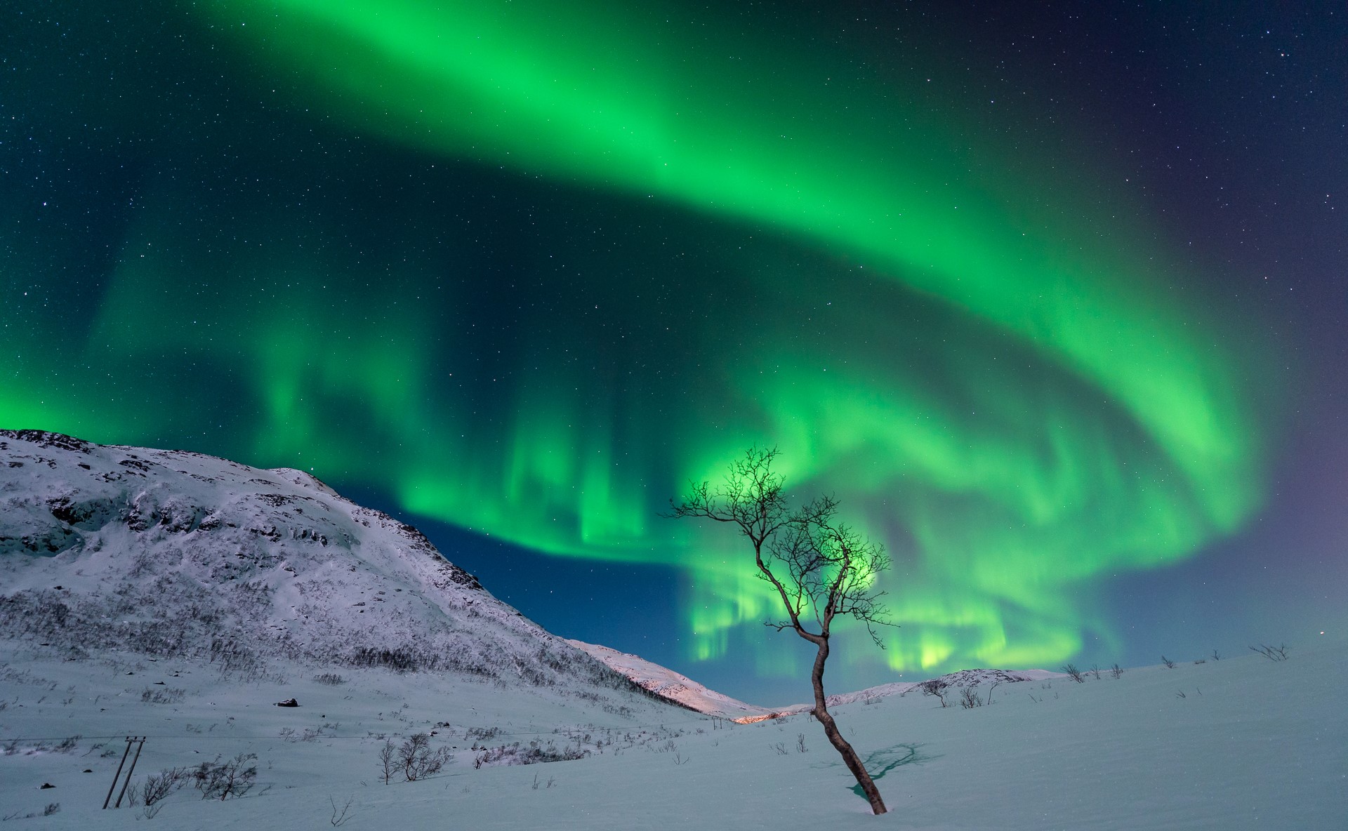 Aurora Borealis over snowy mountains and a lone tree HD Wallpaper