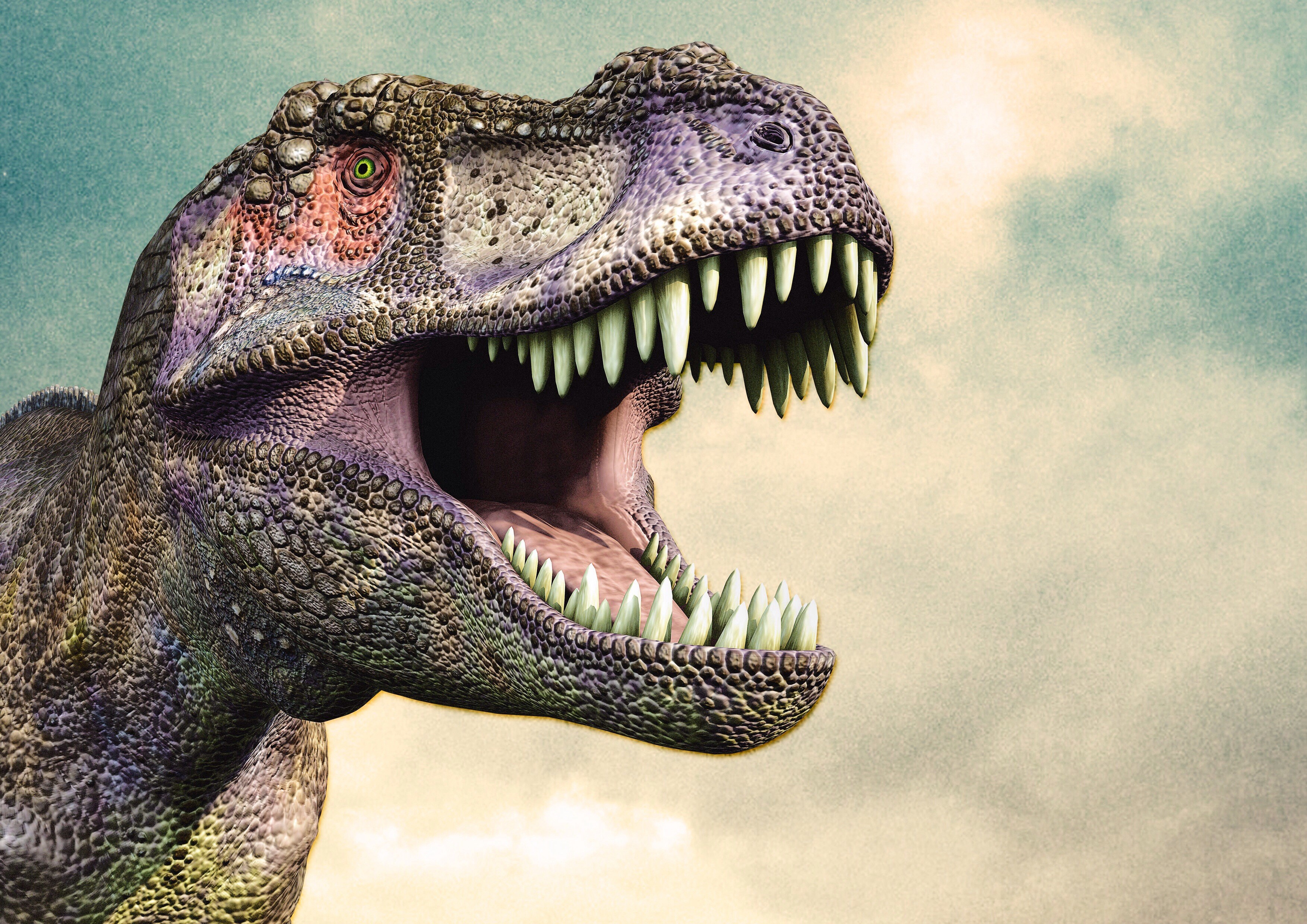 Tyrannosaurus Rex Dinosaur Roaring HD Wallpaper