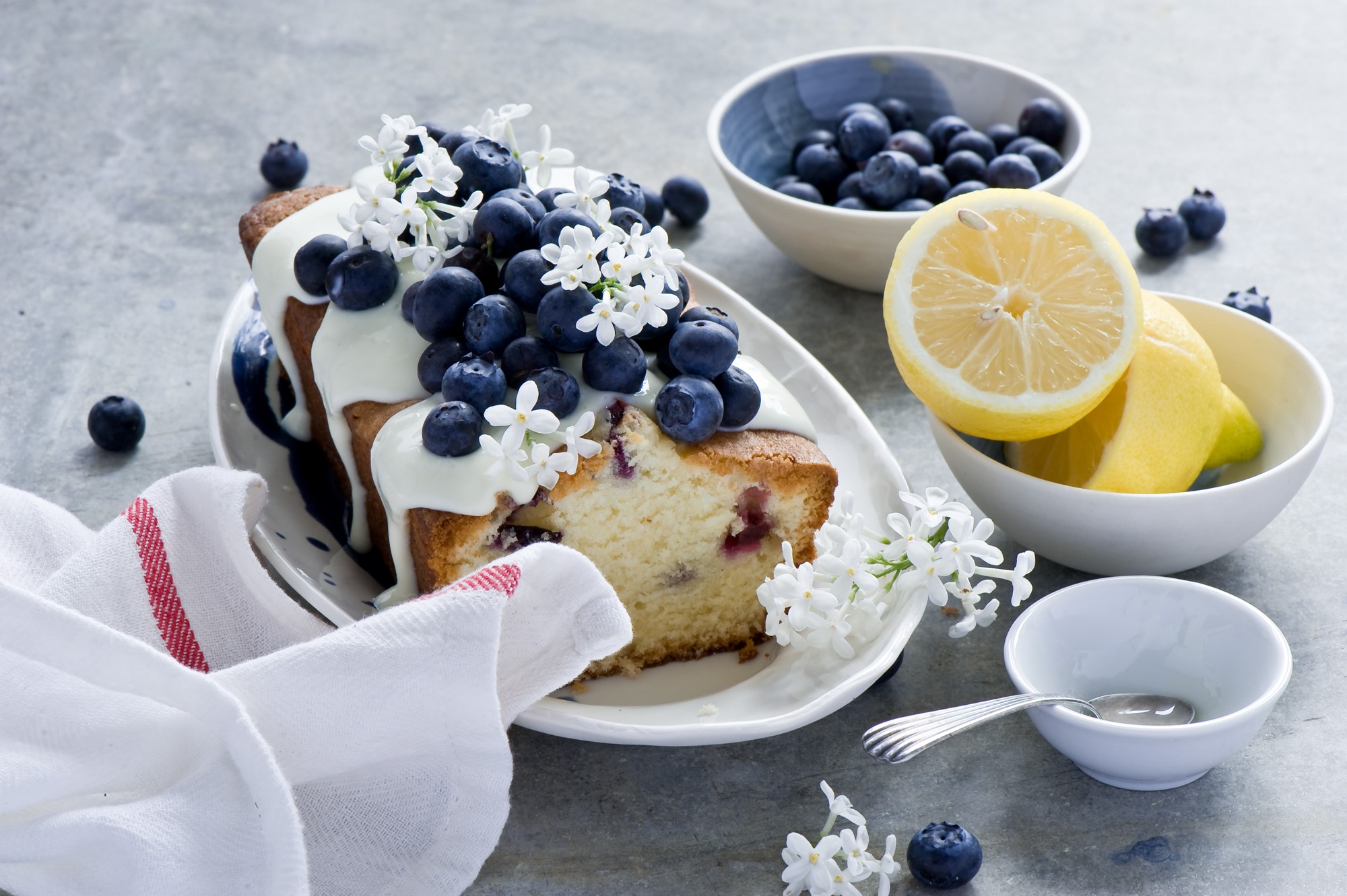 Blueberry pound cake with lemon and white flowers HD Wallpaper