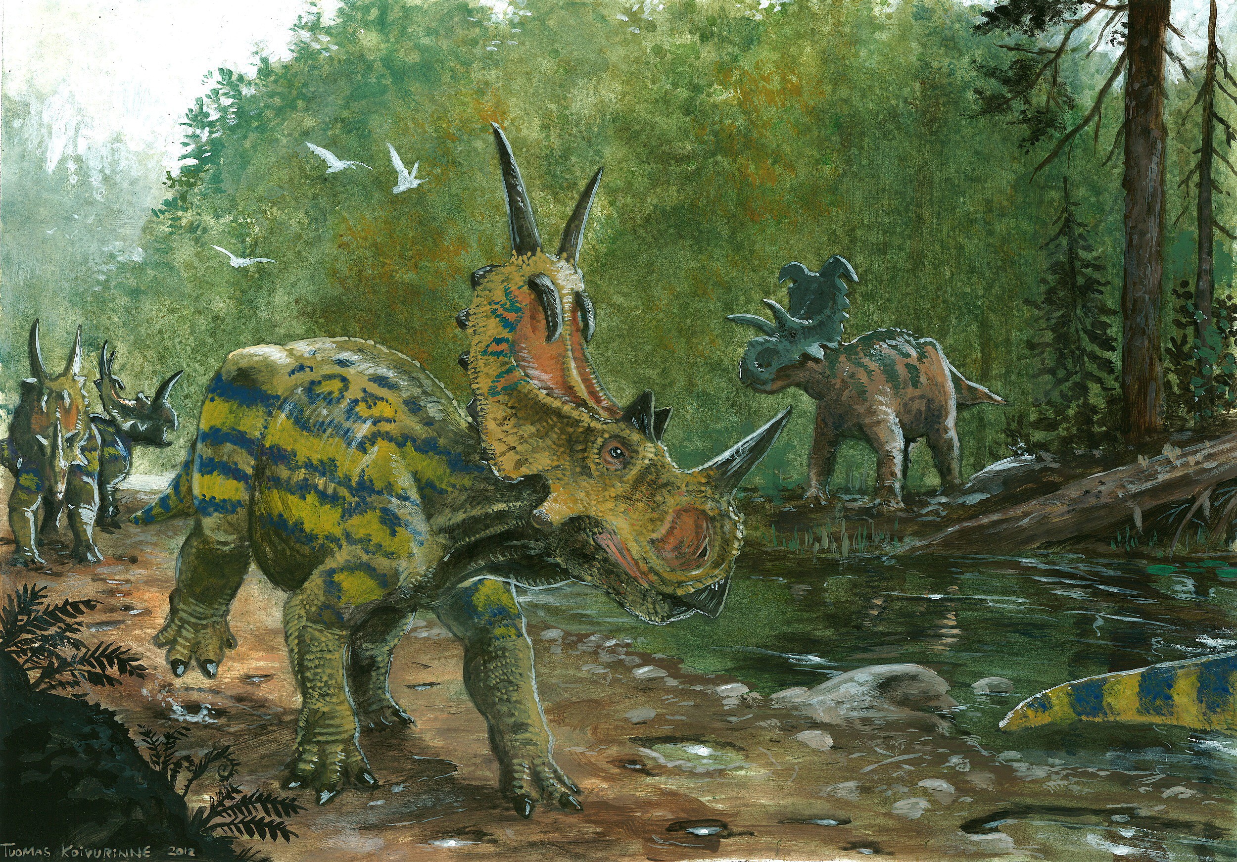 Spinops and Albertaceratops dinosaurs in a forest HD Wallpaper