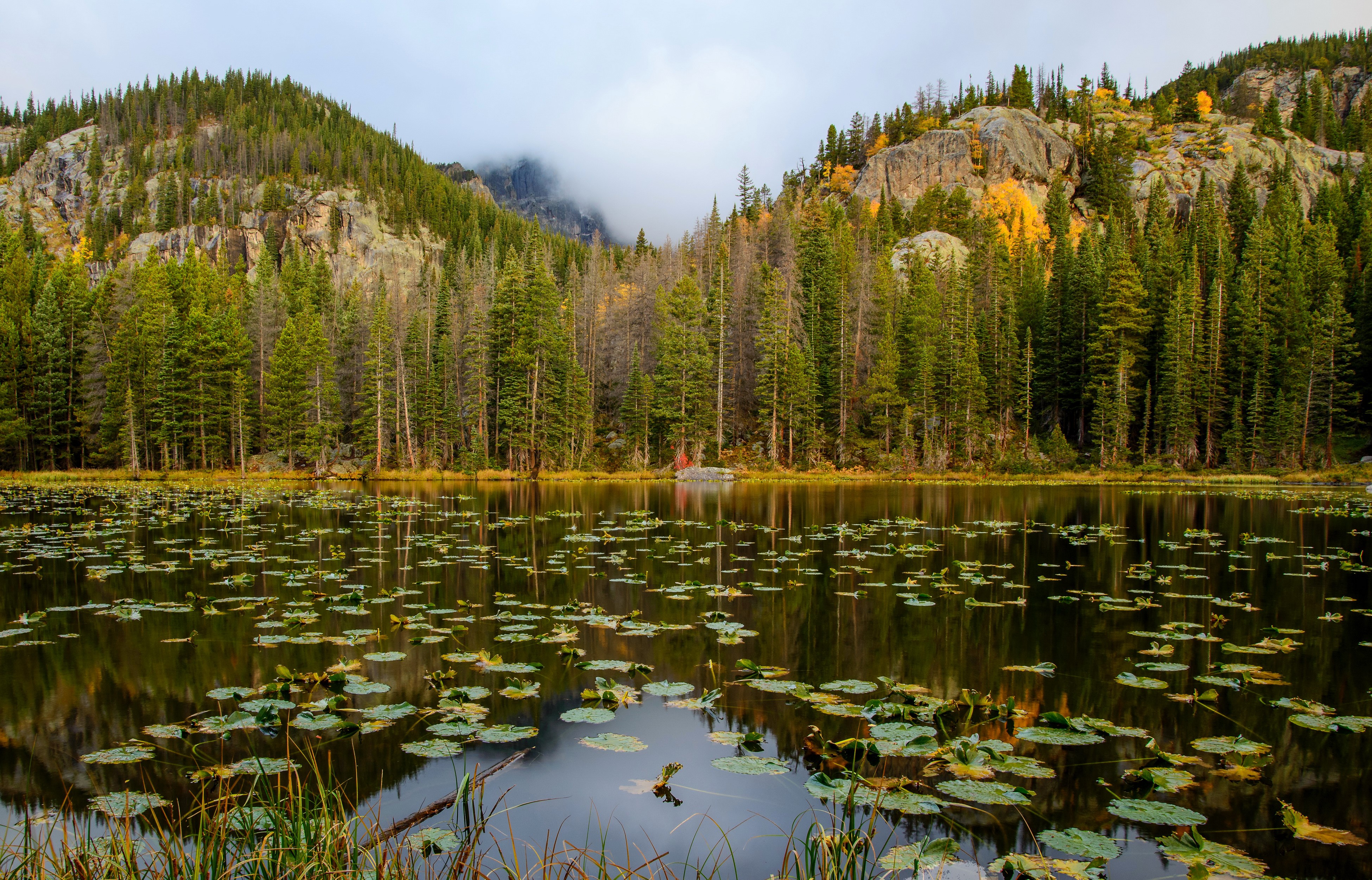 Nymph Lake Rocky Mountain National Park USA HD Wallpaper