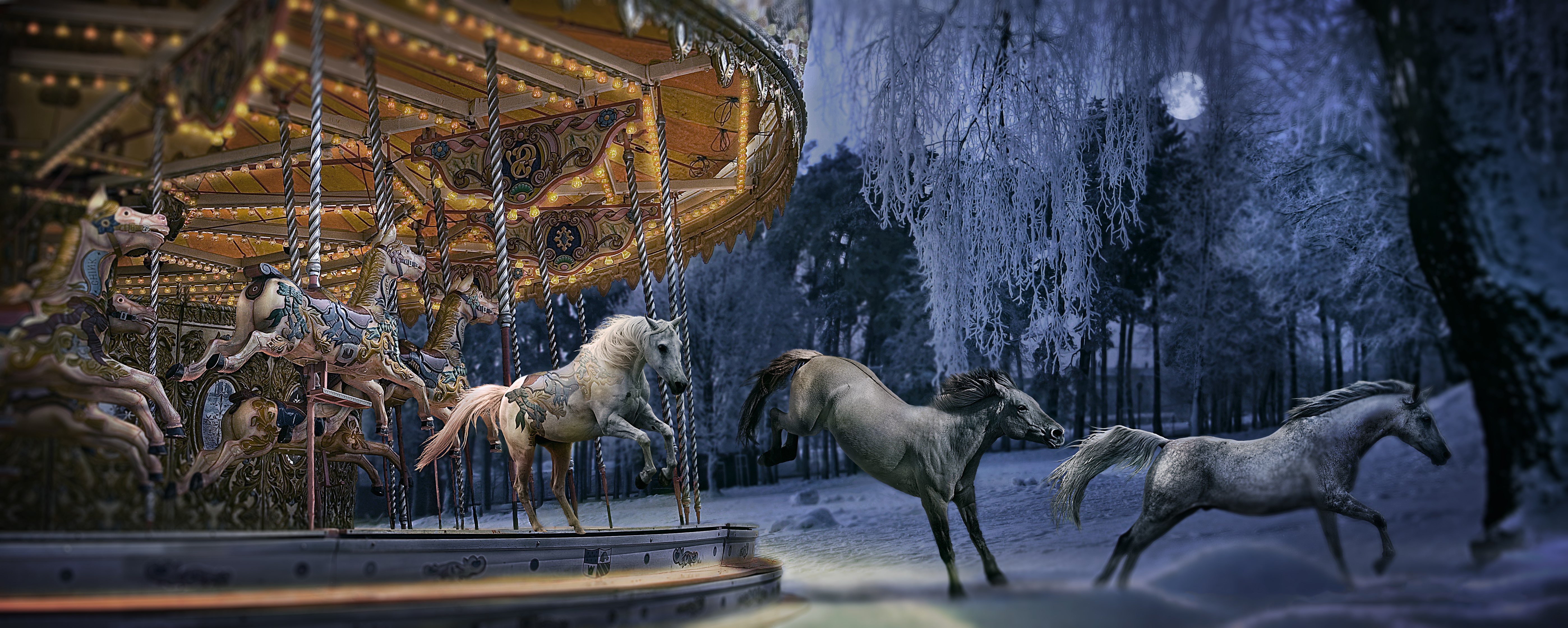 Carousel horses in a winter forest at night HD Wallpaper