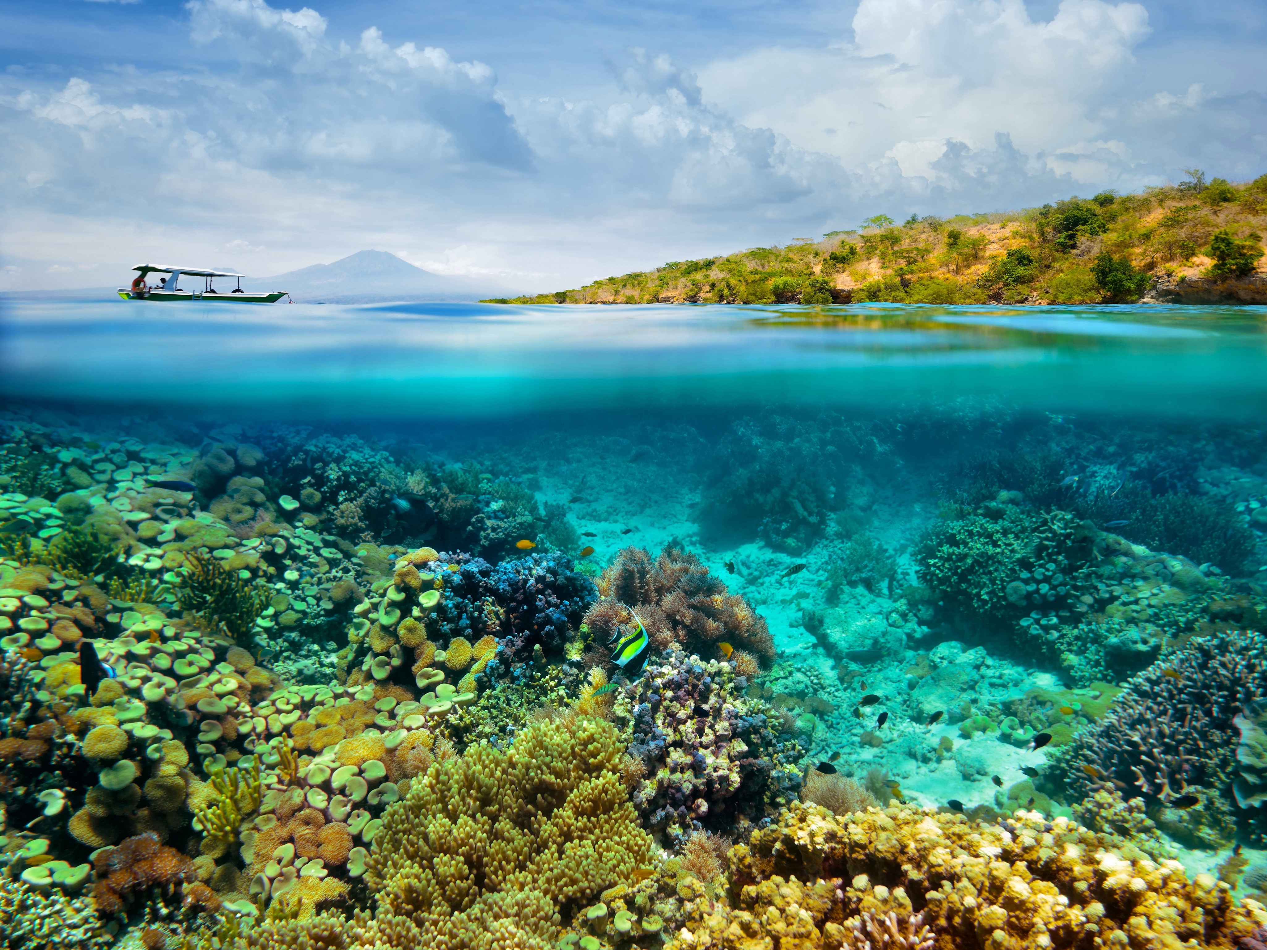 Split view of a boat and coral reef HD Wallpaper