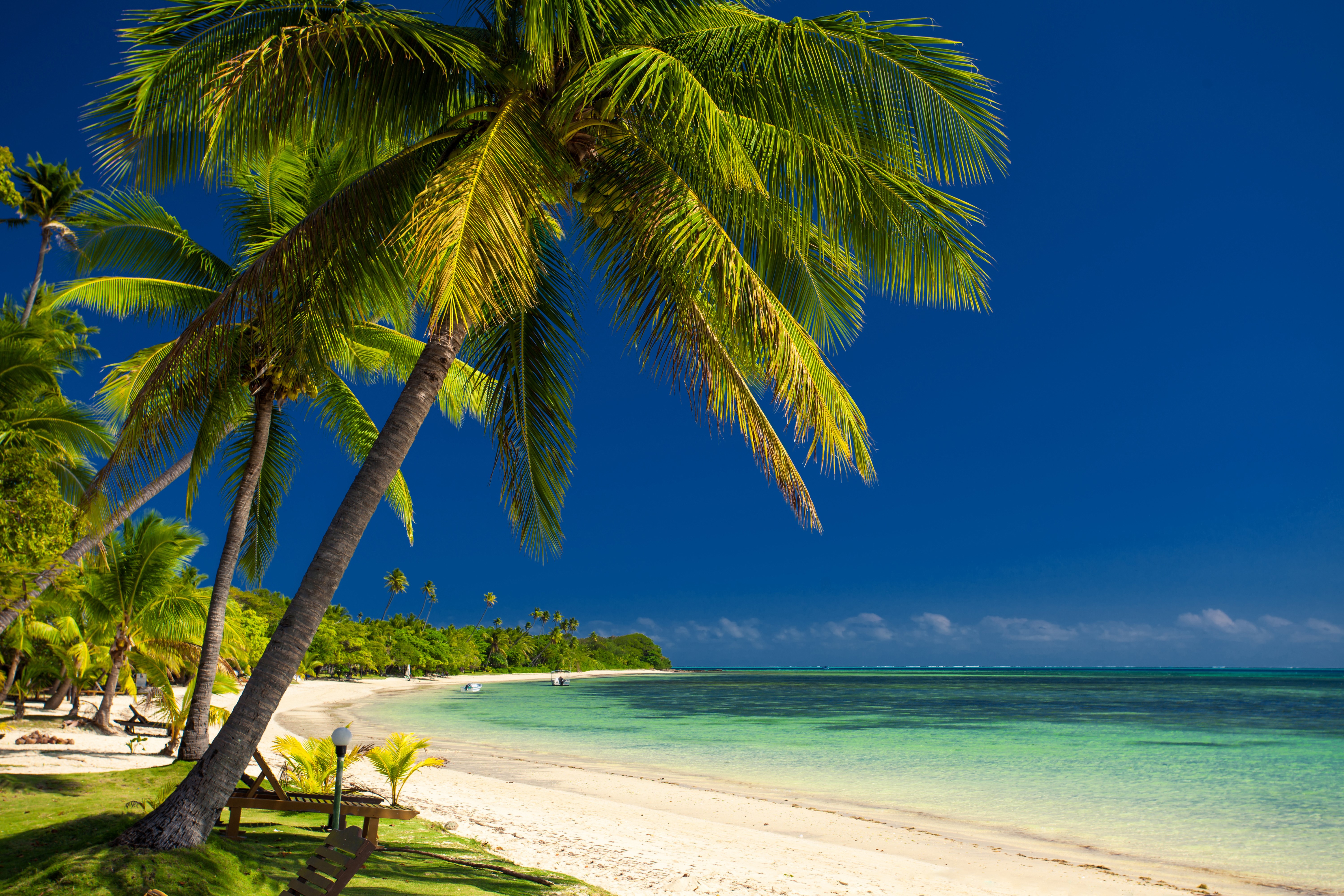 Tropical Beach with Palm Trees and Turquoise Water HD Wallpaper