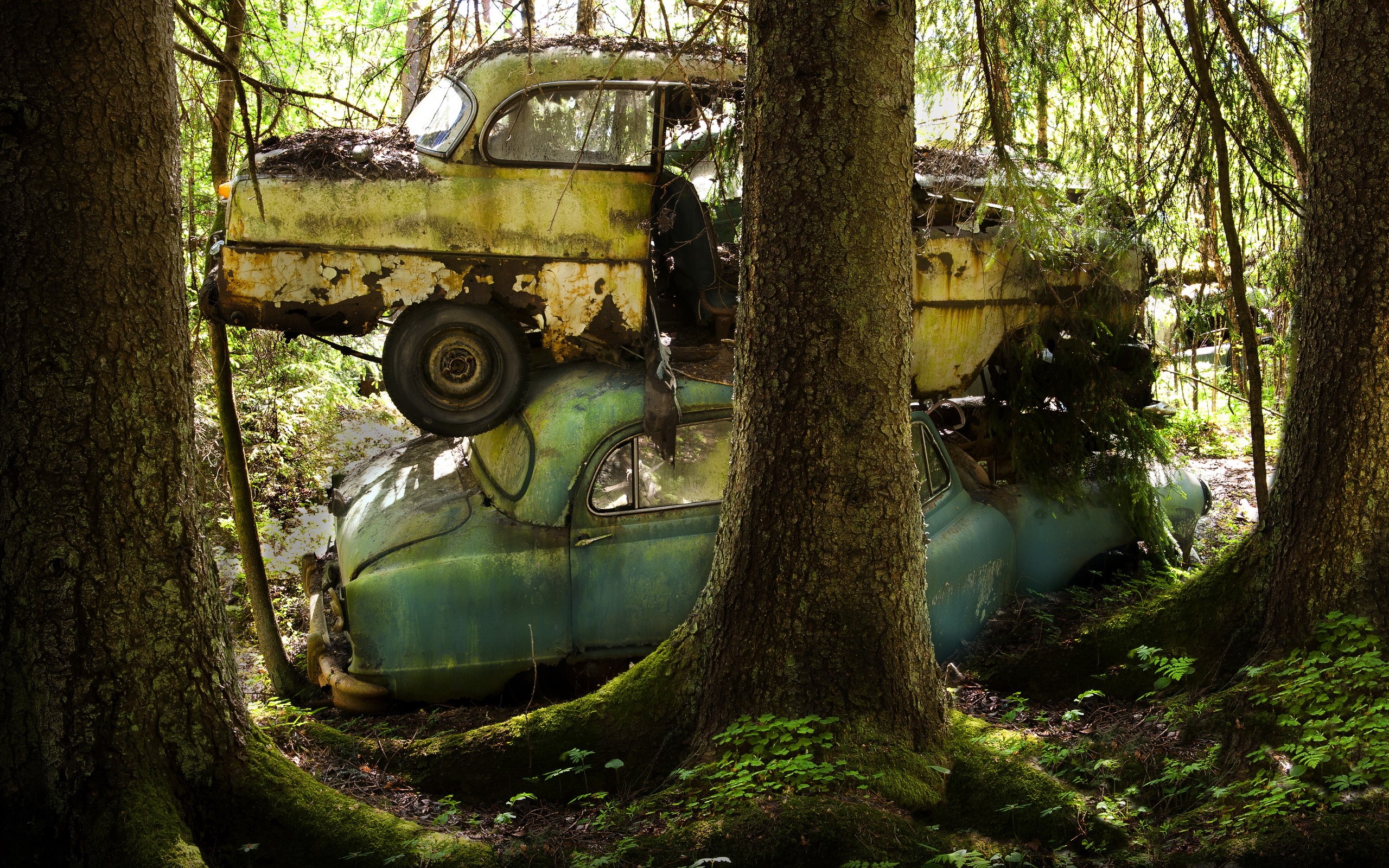 Abandoned cars in a forest HD Wallpaper