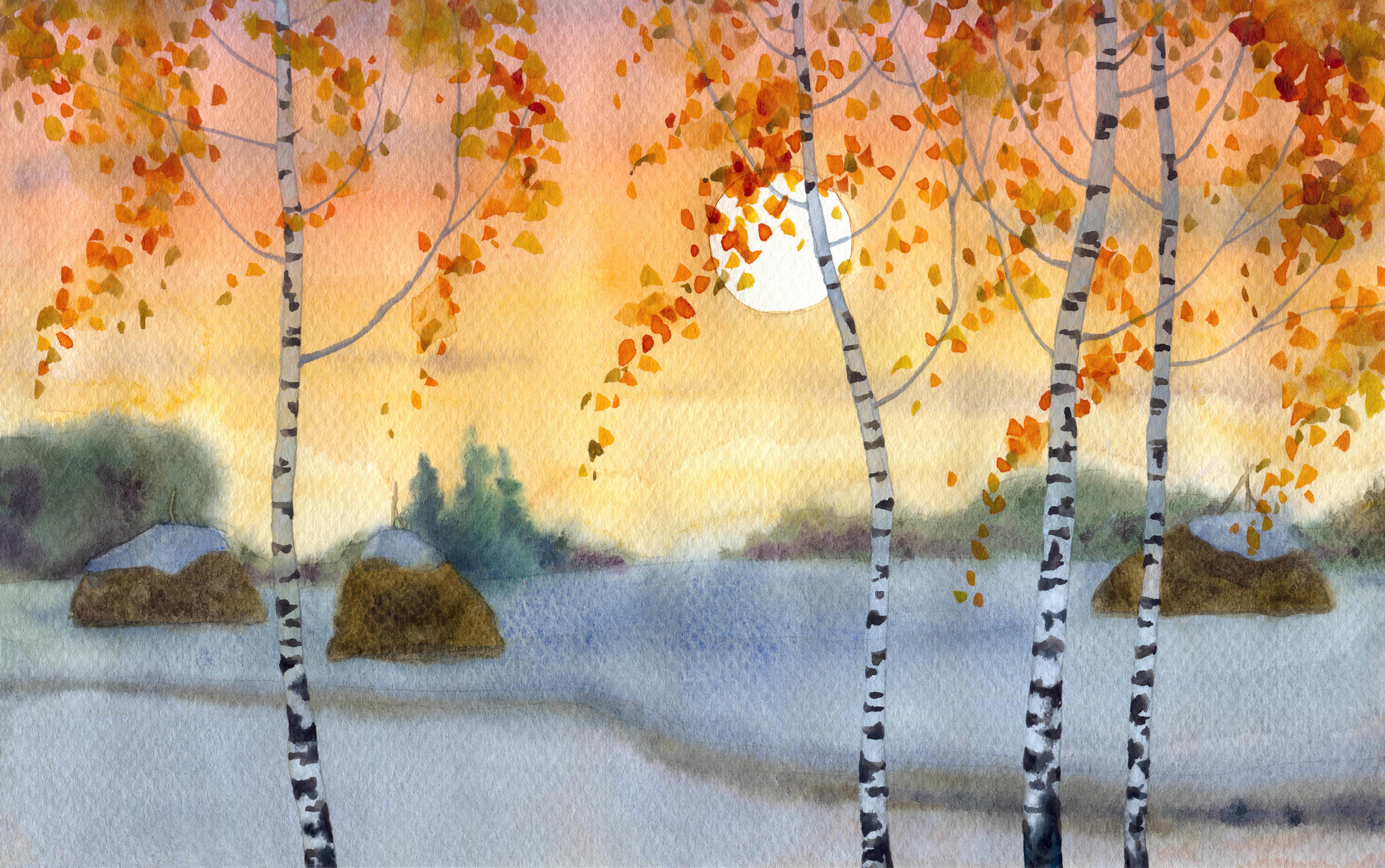 Autumn Birch Trees at Sunset HD Wallpaper