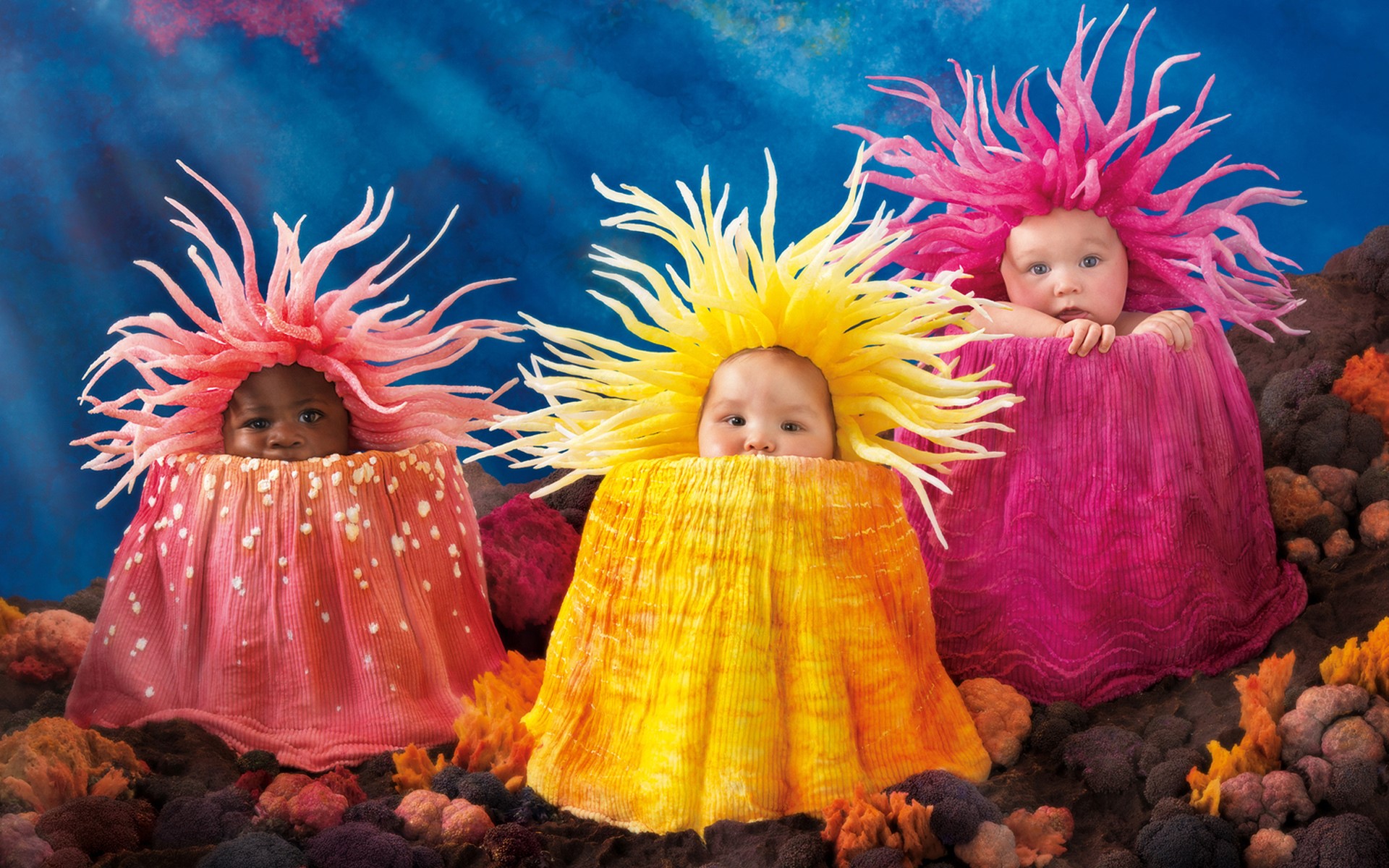 Three babies dressed as sea anemones HD Wallpaper