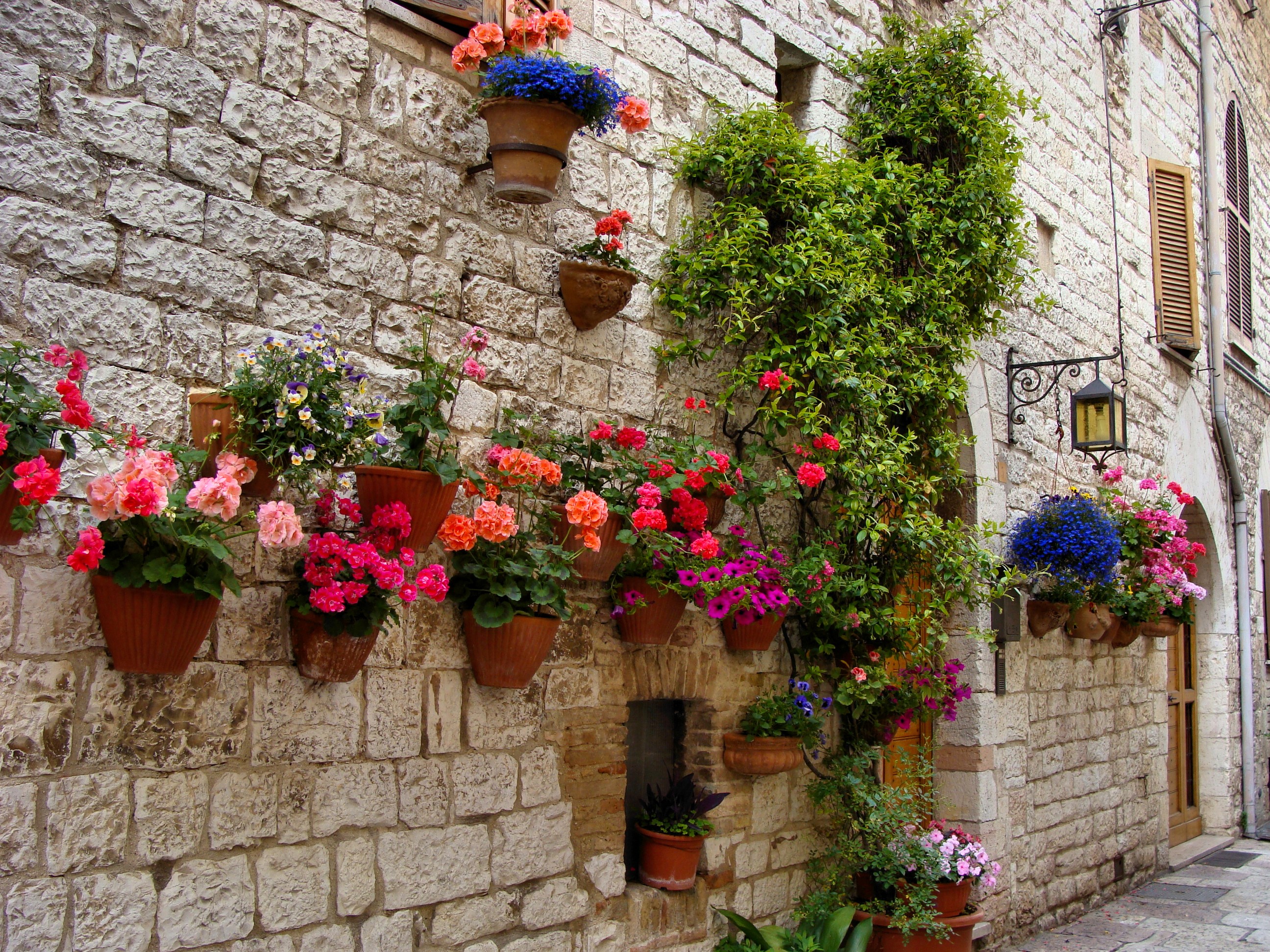 Flowers in pots on a stone wall HD Wallpaper