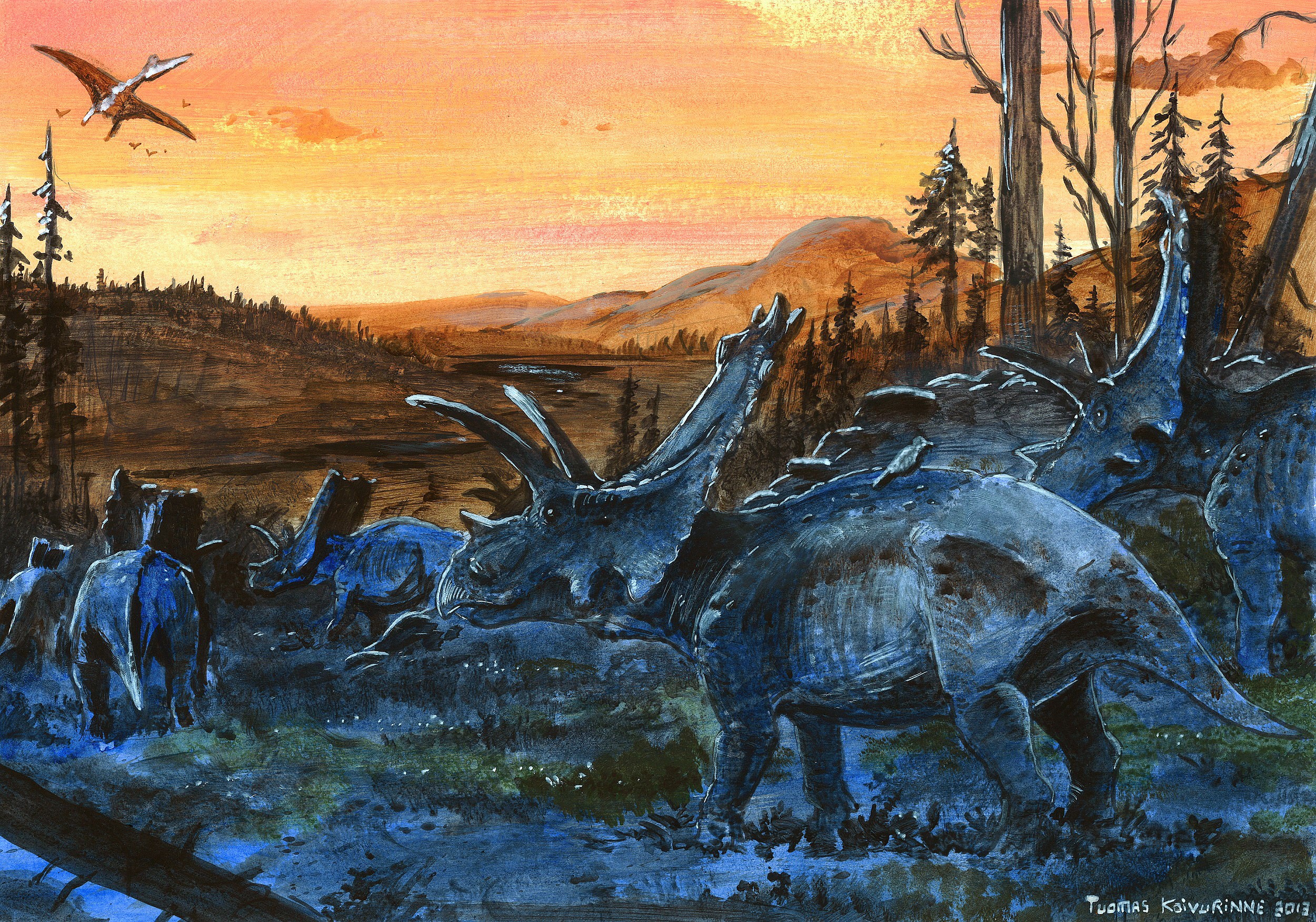Bravoceratops dinosaurs and pterosaurs at sunset HD Wallpaper
