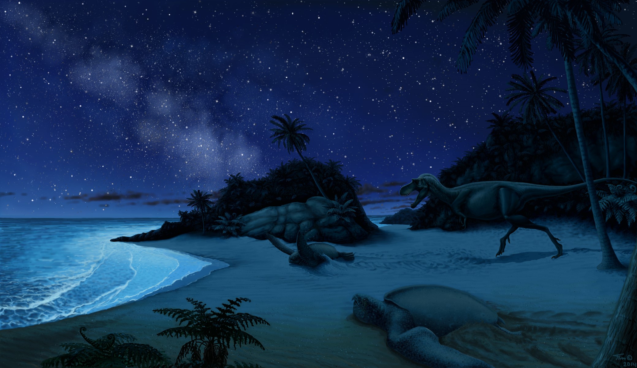 Dinosaurs and turtles on a beach at night HD Wallpaper