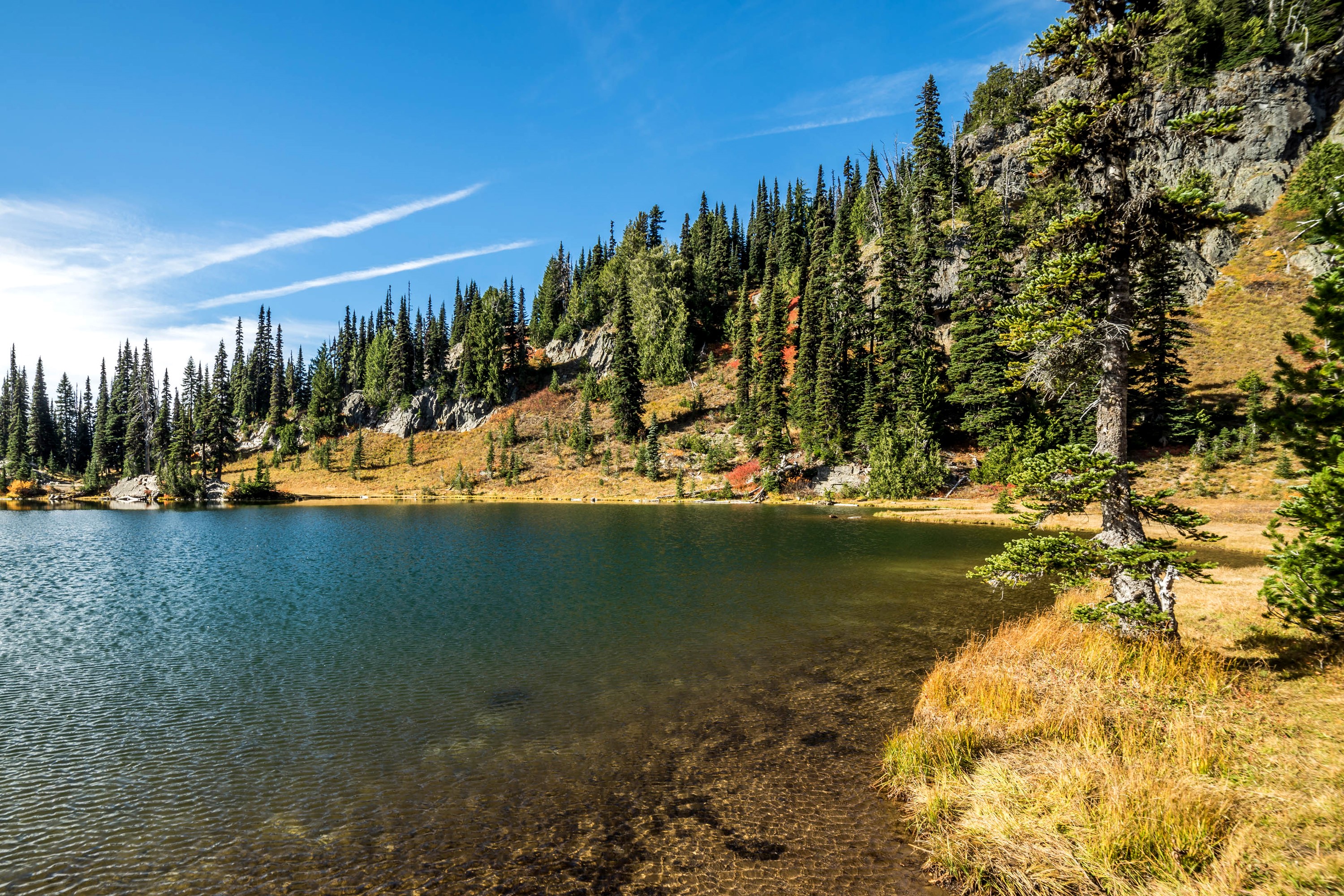 Sheep Lake in Rocky Mountain National Park HD Wallpaper