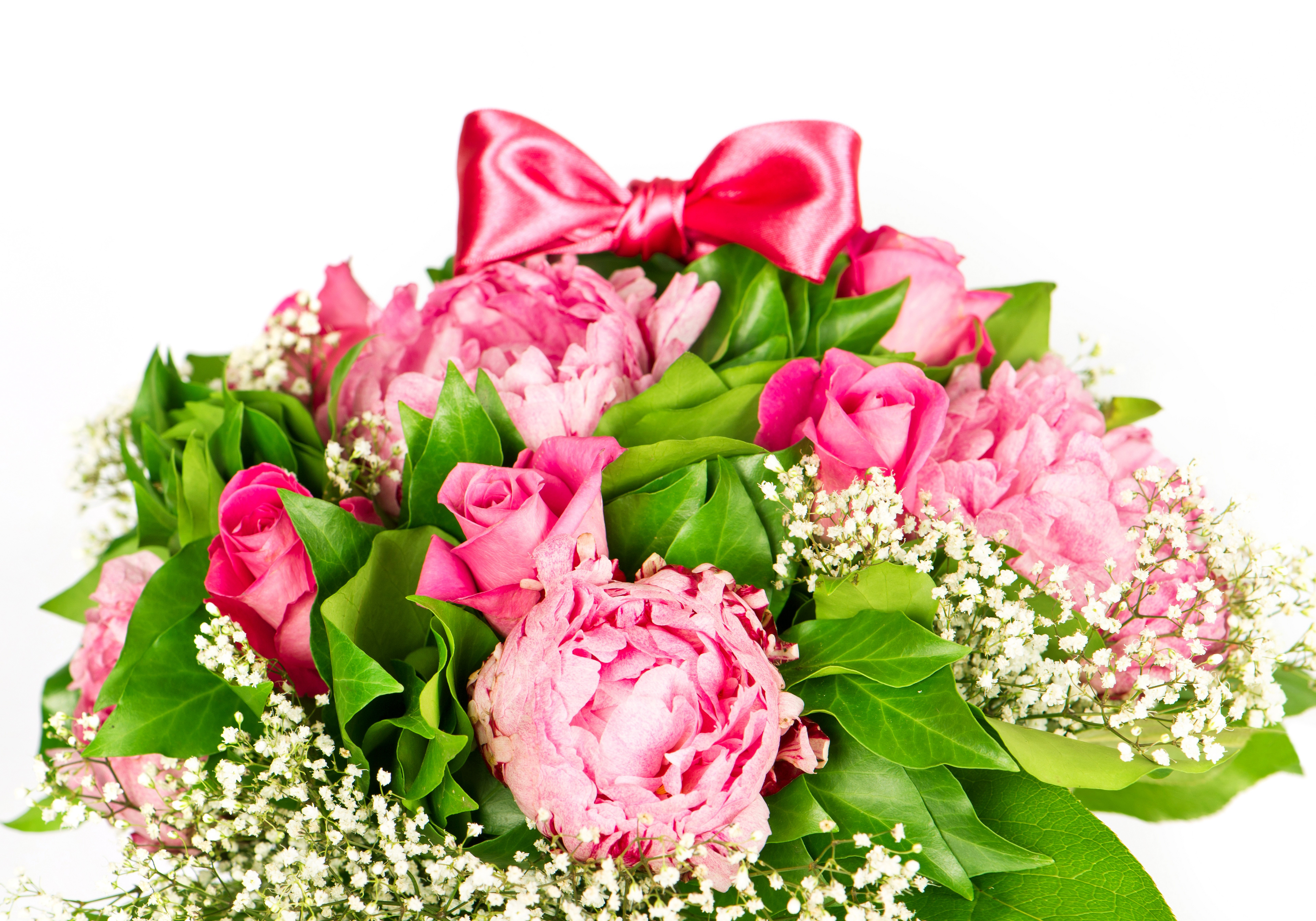 Pink Roses and Peonies Bouquet with Pink Bow HD Wallpaper
