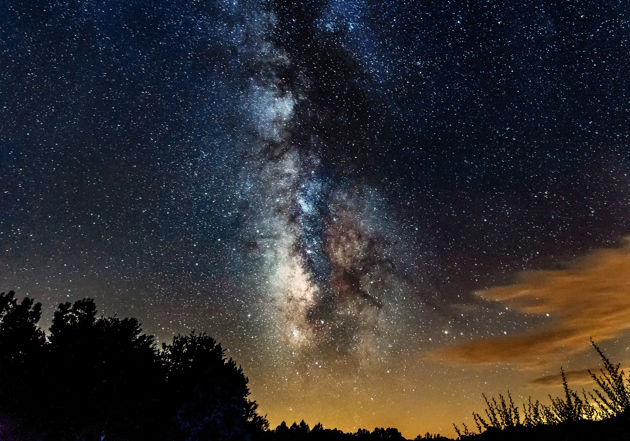 Milky Way Galaxy over Silhouetted Trees HD Wallpaper