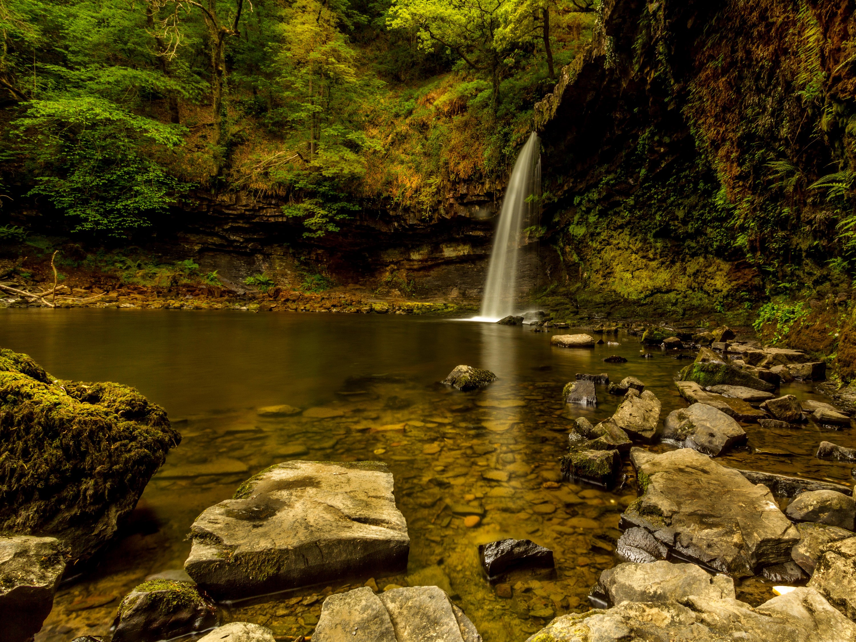 Waterfall cascading into a pool surrounded by rocks and trees HD Wallpaper
