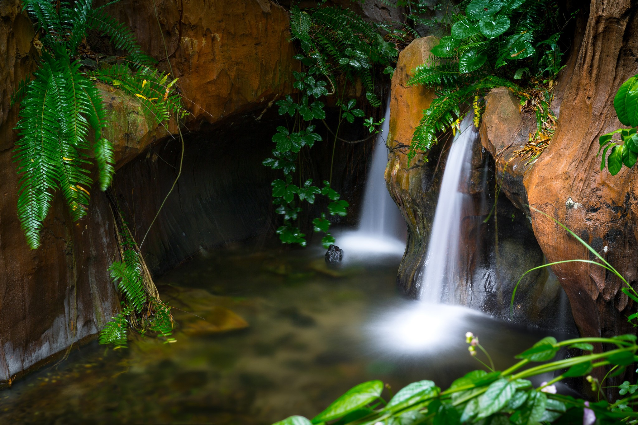 Waterfalls cascading over rocks with lush greenery HD Wallpaper