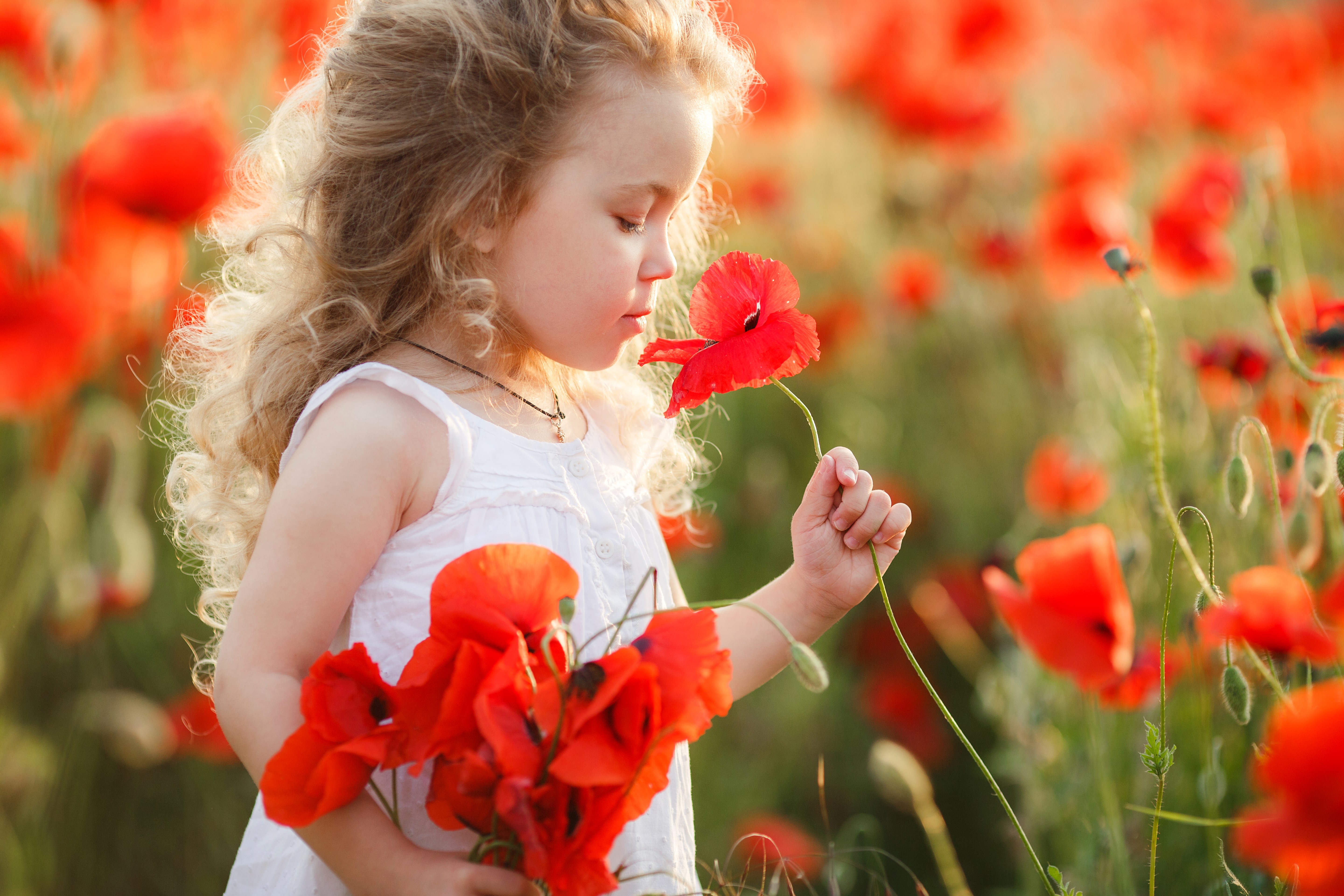 5K Poppies Little girls HD Wallpaper