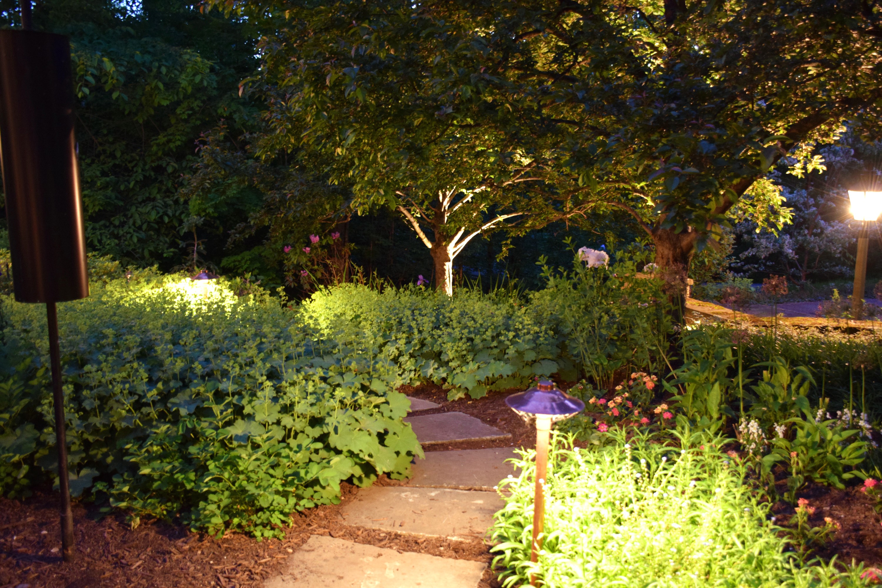 Illuminated garden path with trees and shrubs at night HD Wallpaper