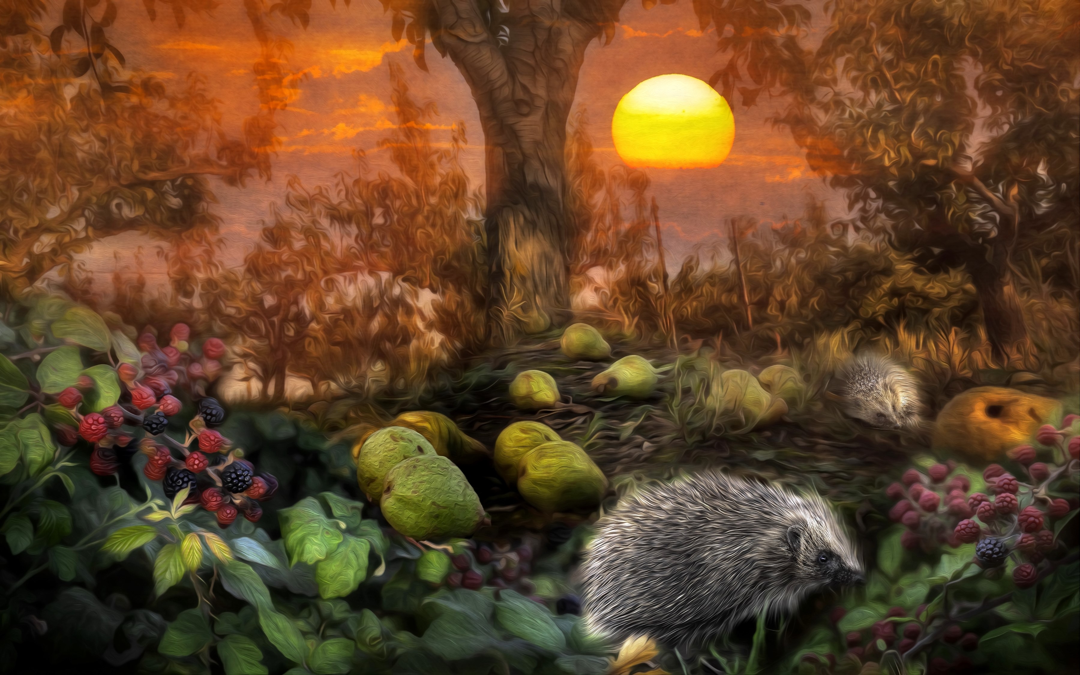 Hedgehogs and blackberries at sunset in a forest HD Wallpaper