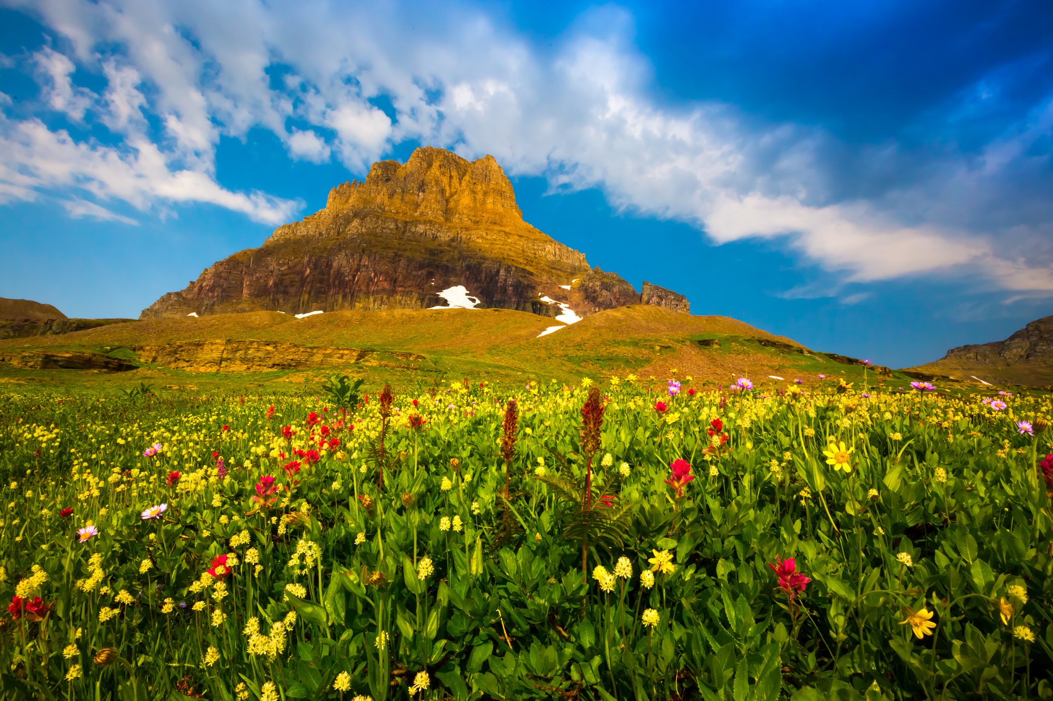 Mountain meadow with wildflowers and blue sky HD Wallpaper
