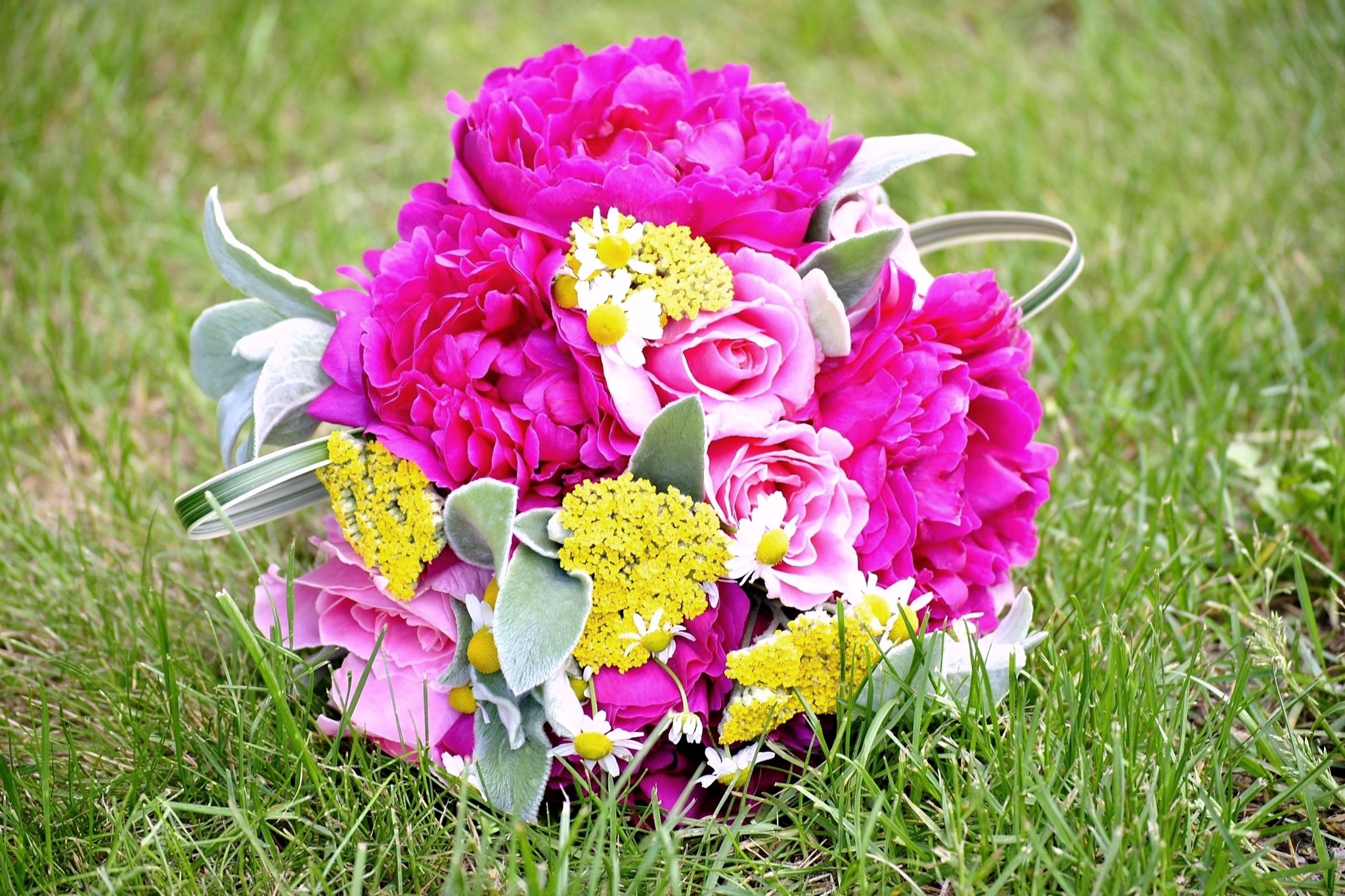 Pink peonies and roses bouquet on grass HD Wallpaper