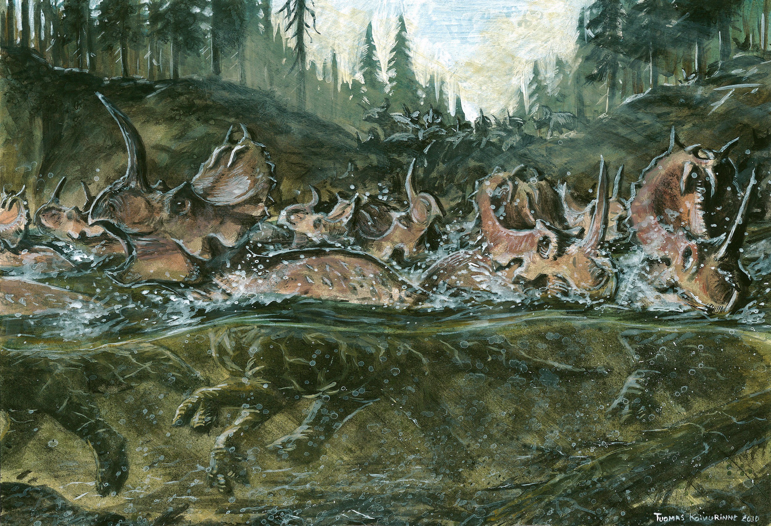 Herd of Triceratops crossing a river HD Wallpaper