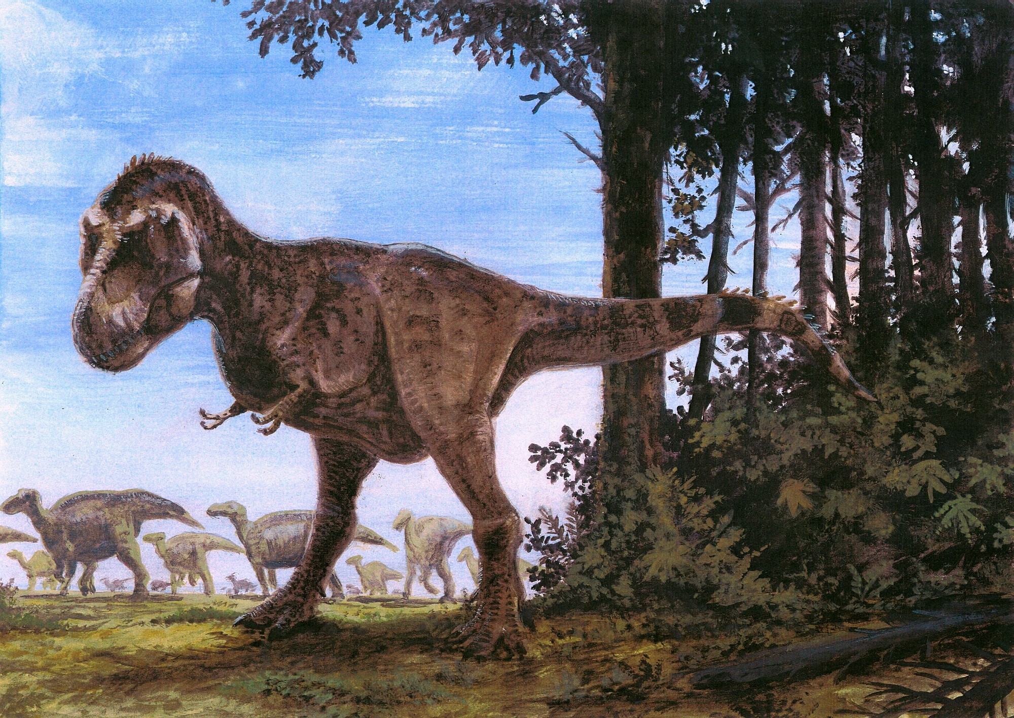 Tyrannosaurus Rex and Hadrosaurs in a prehistoric landscape HD Wallpaper