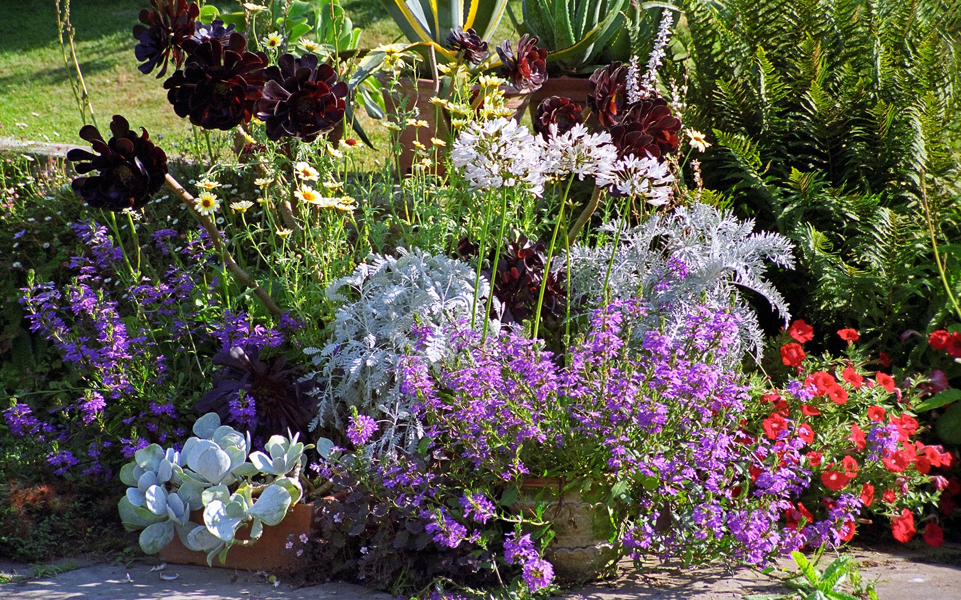 Great Dixter Gardens Sussex England Gardens Delphinium Petunia HD Wallpaper