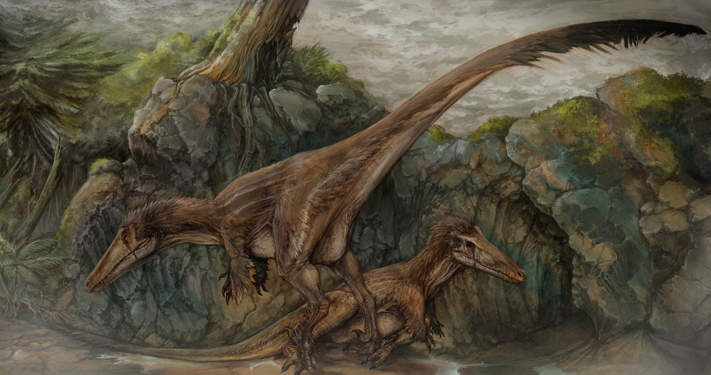 Ancient animals Dinosaurs HD Wallpaper