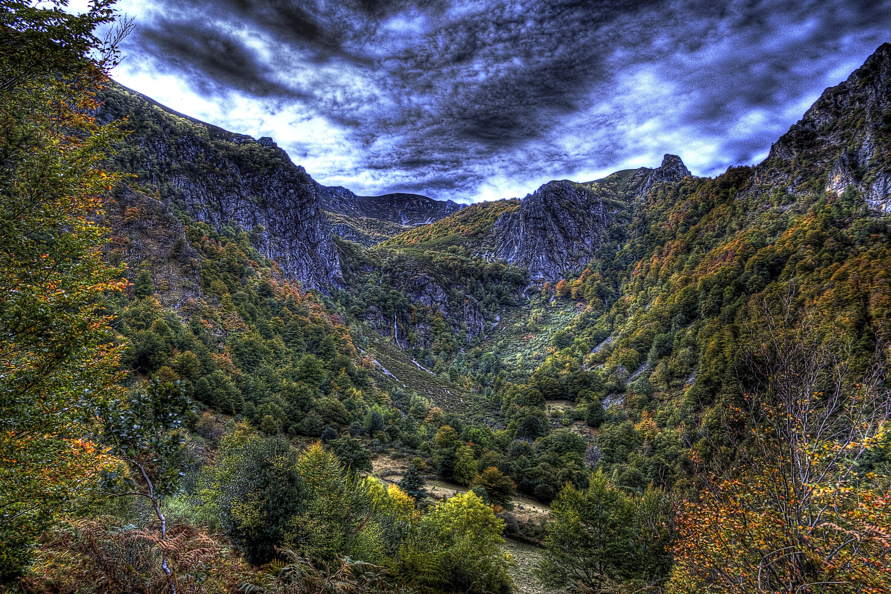 Mountains and Forests in Tarna, Asturias, Spain HD Wallpaper